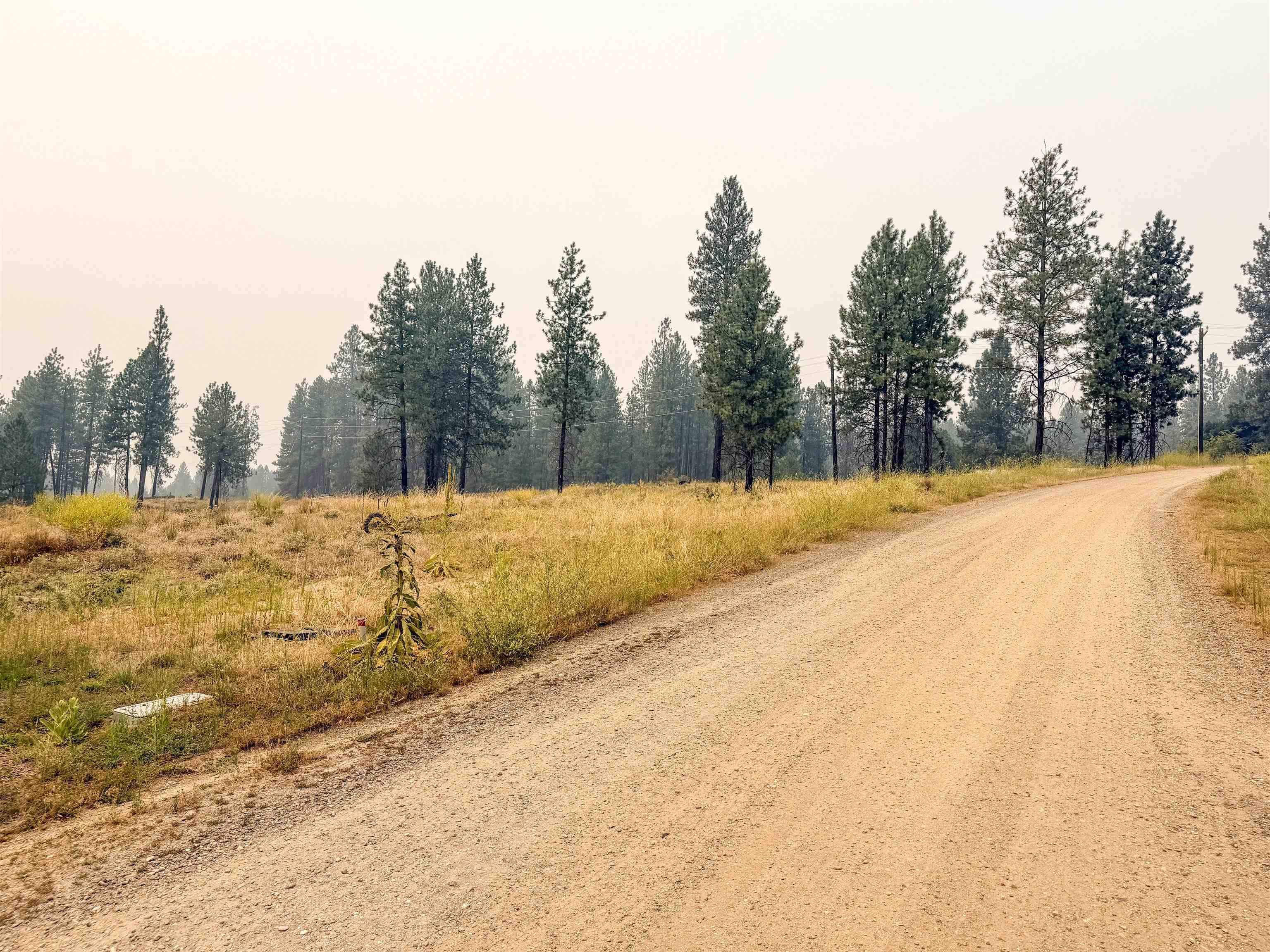 1315 Inez WAY, Kettle Falls, WA 99141