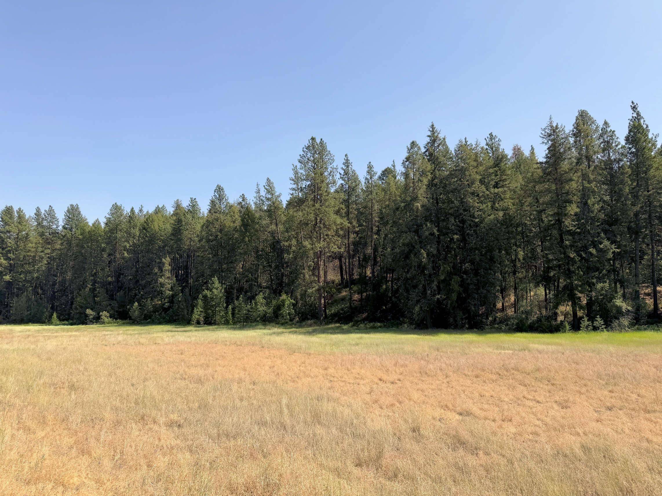 001 E Miles/Creston Rd, Creston, WA 99117