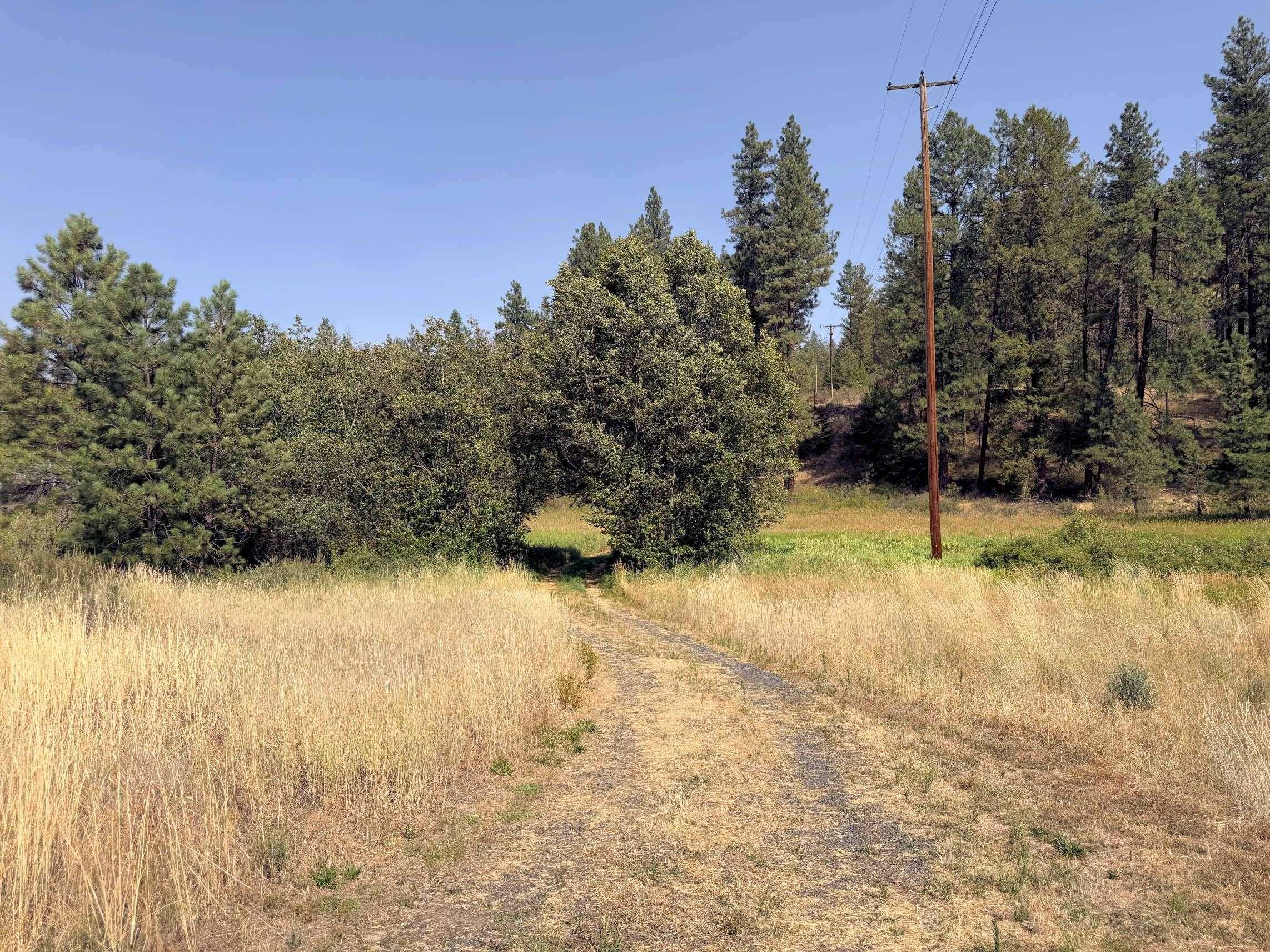 001 E Miles/Creston Rd, Creston, WA 99117