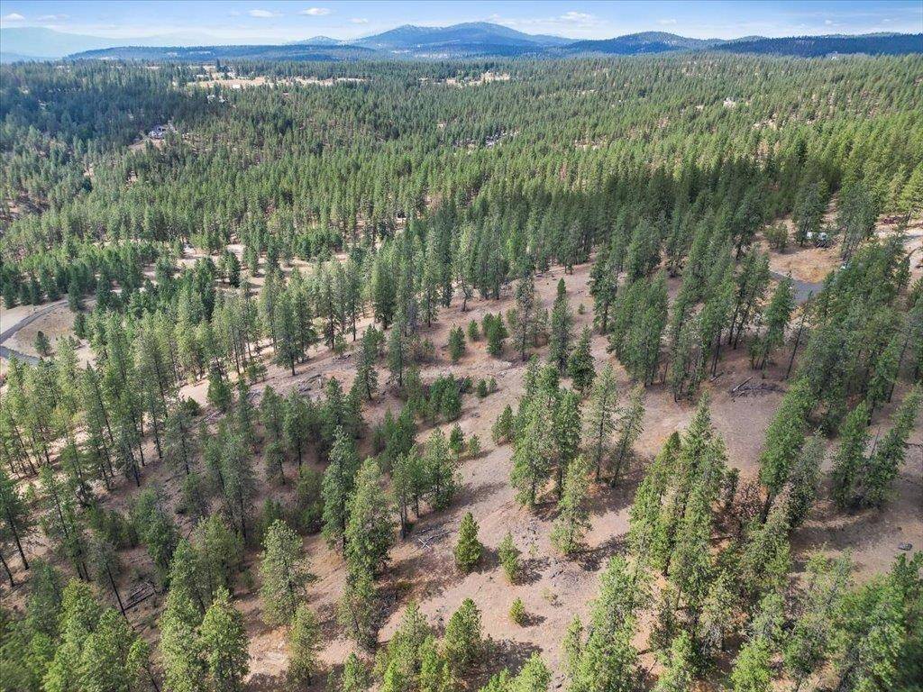 NKA Weaver WAY #Lot 4 of Lot 7, Deer Park, WA 99006
