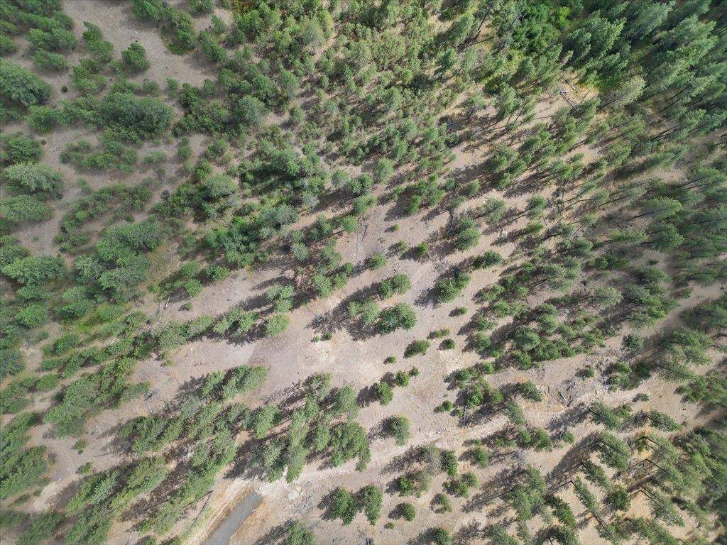 NKA Weaver WAY #Lot 4 of Lot 7, Deer Park, WA 99006