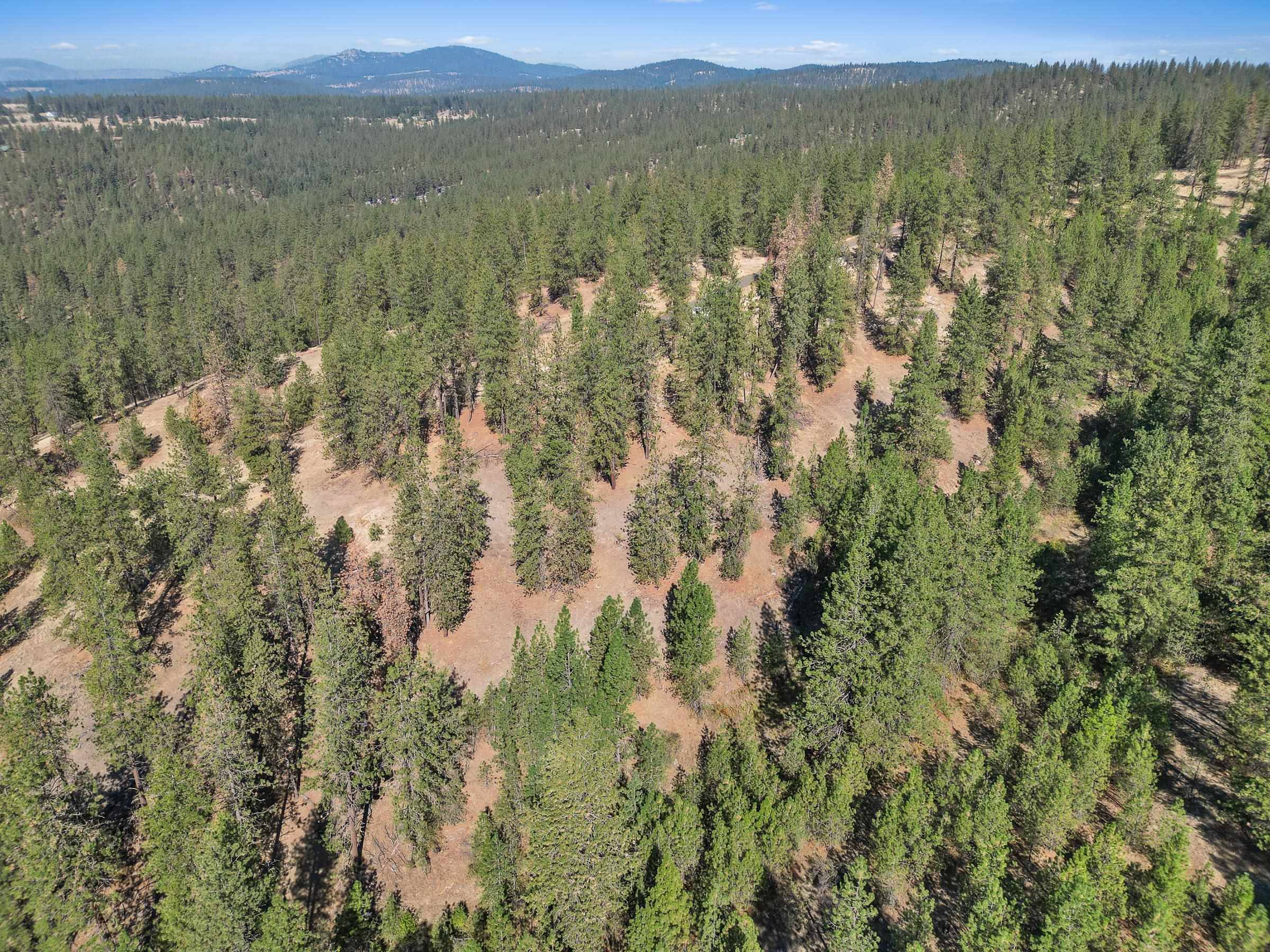 NKA Lower Weaver WAY #Lot 3 of Lot 7, Deer Park, WA 99006