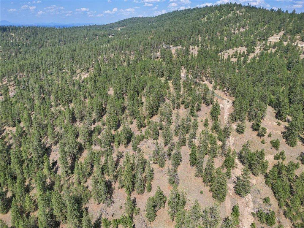 NKA Weaver WAY #Lot 1 of Lot 7, Deer Park, WA 99006