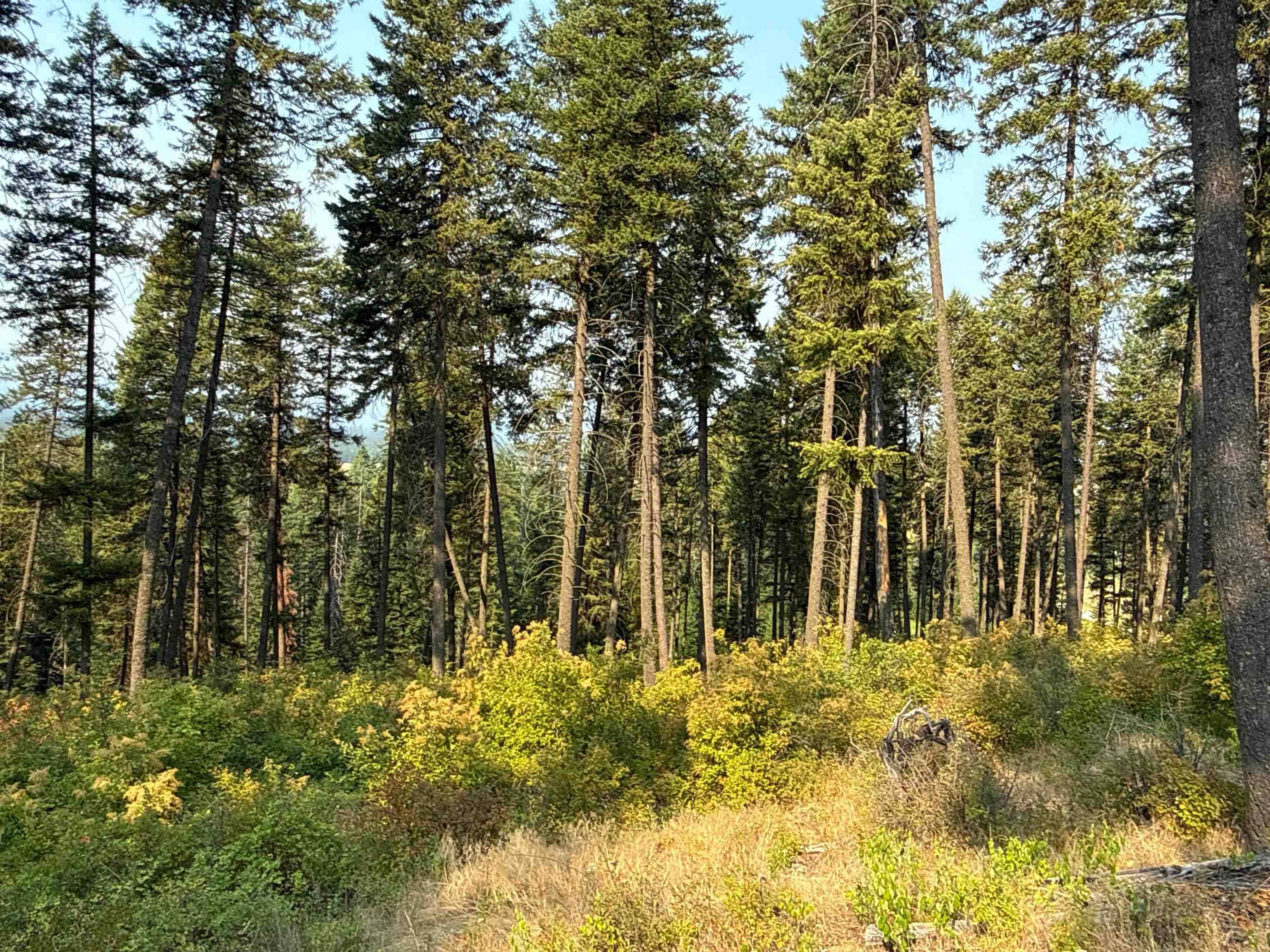 NKA Berry Rd, Usk, WA 99180
