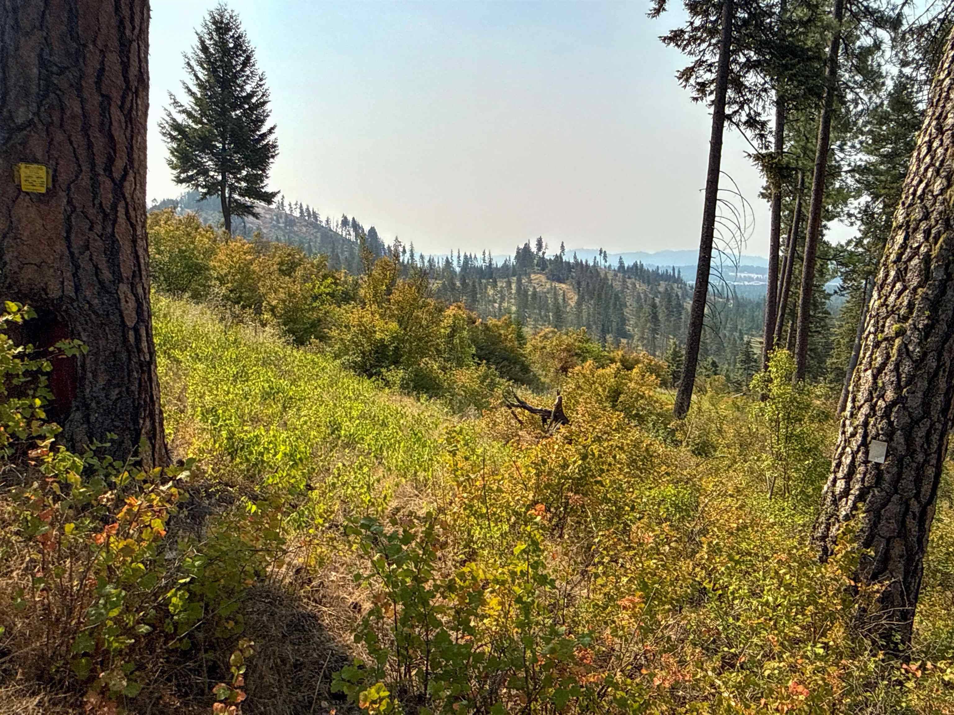 NKA Berry Rd, Usk, WA 99180