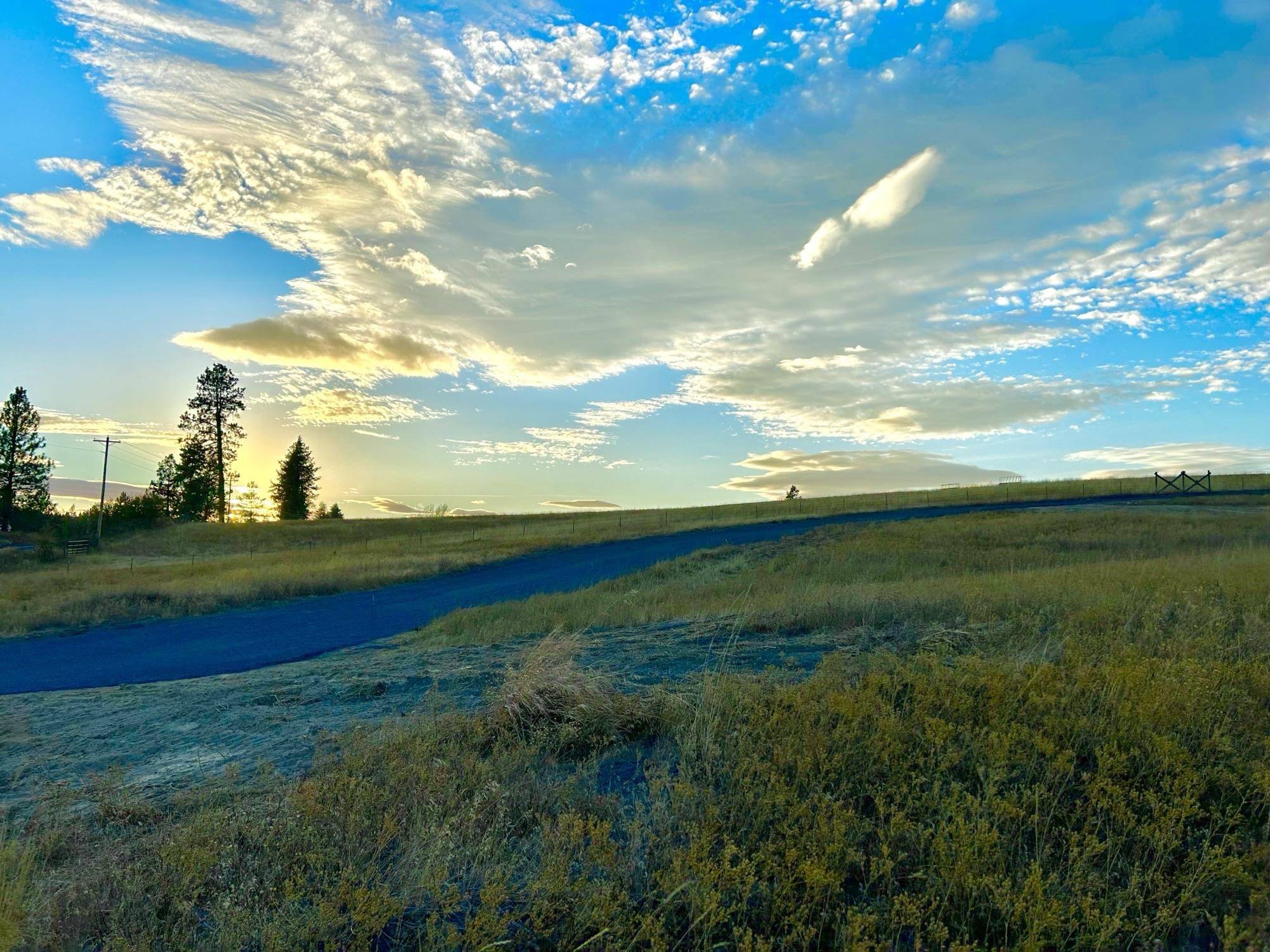 11707 E Tallman Rd, Chattaroy, WA 99003