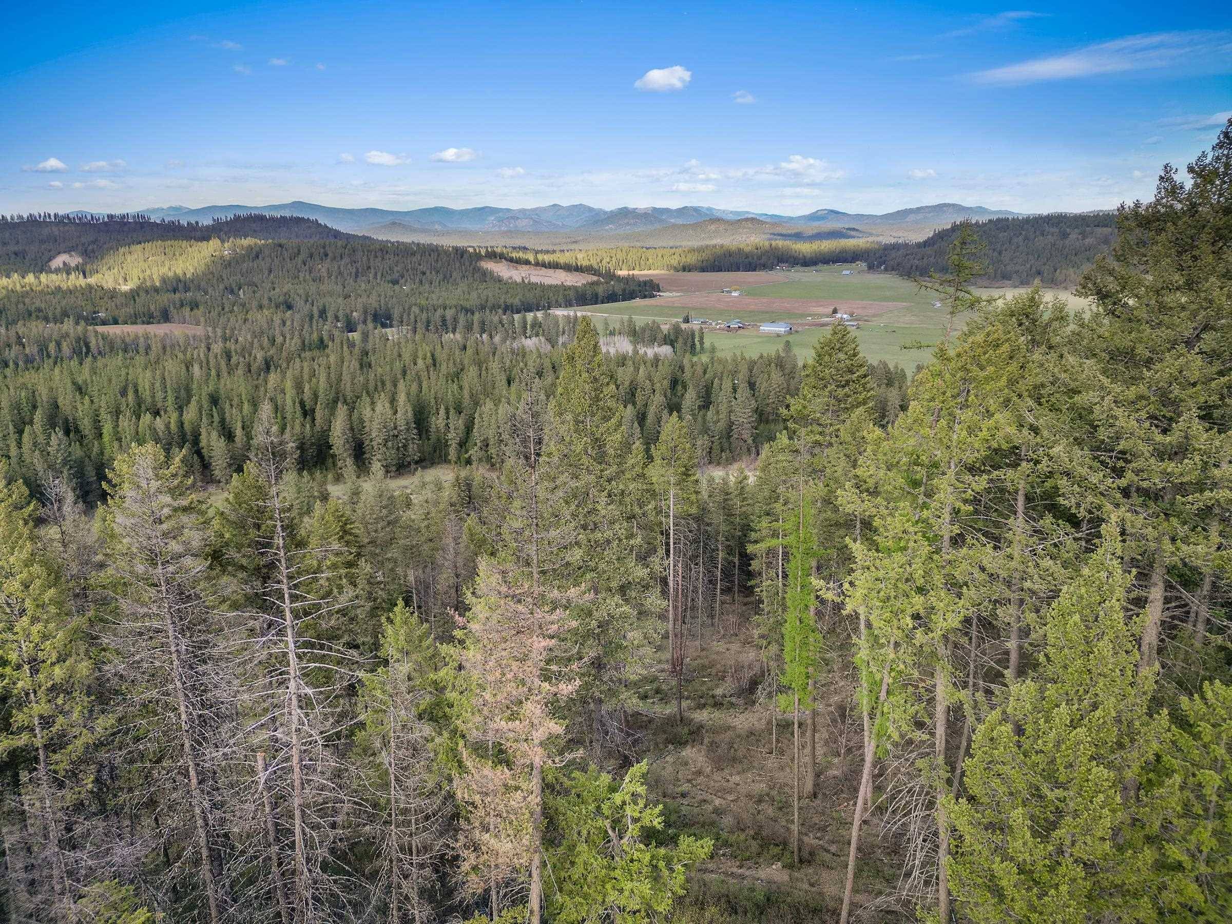 xxx Springdale Hunters Rd, Springdale, WA 99173