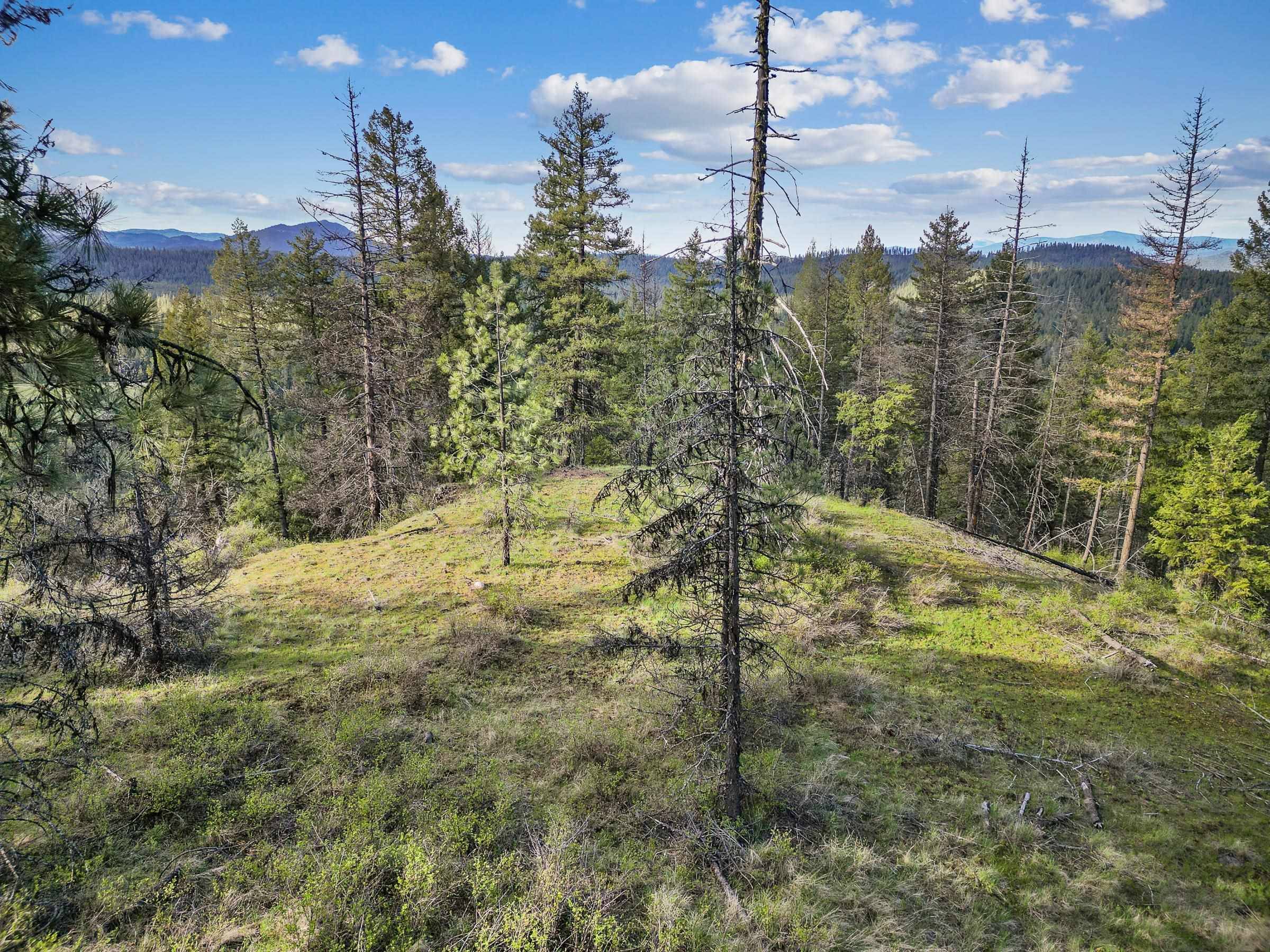 xxx Springdale Hunters Rd, Springdale, WA 99173