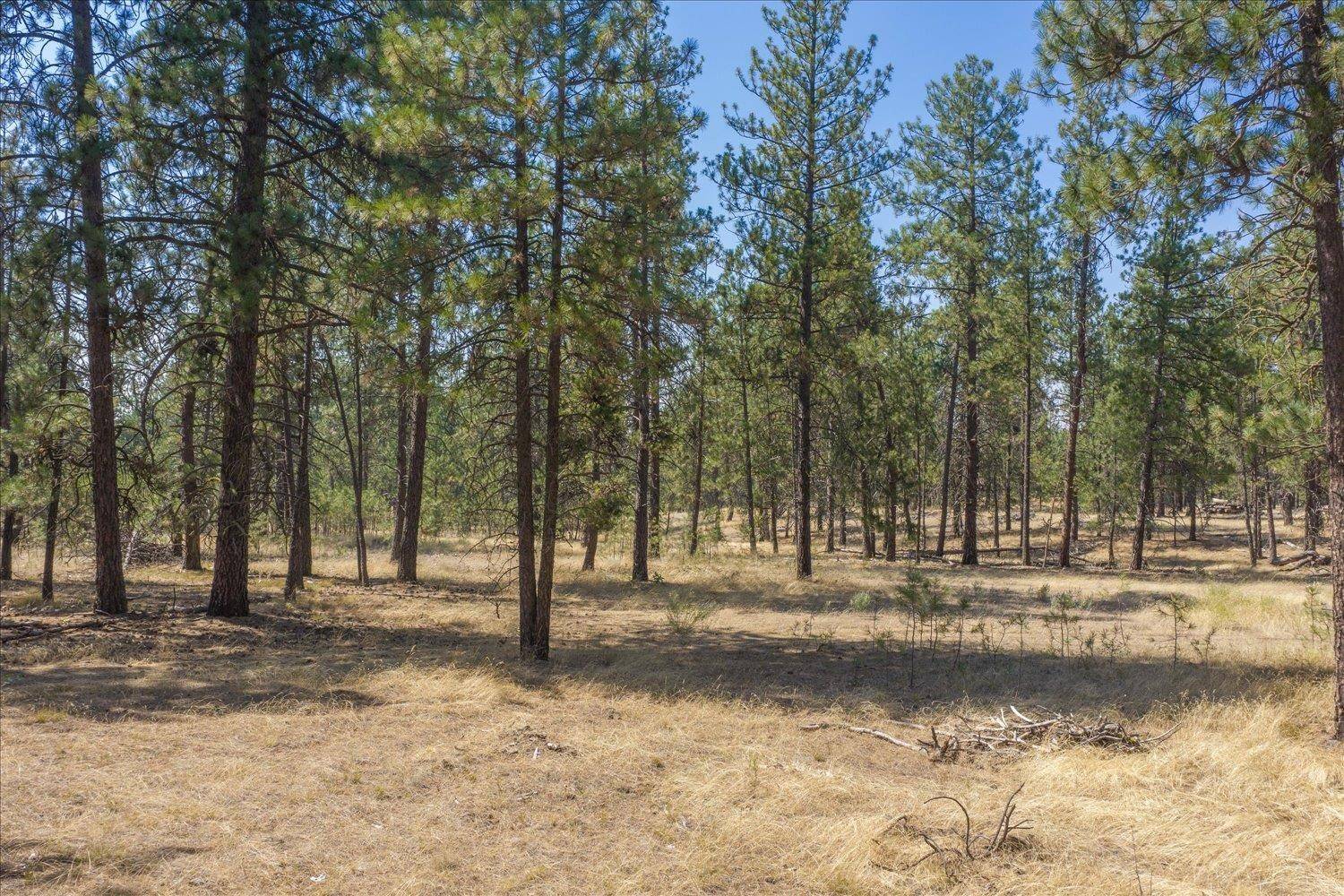 1110 1/2 S Brooks Rd #(Land Parcel), Medical Lake, WA 99022