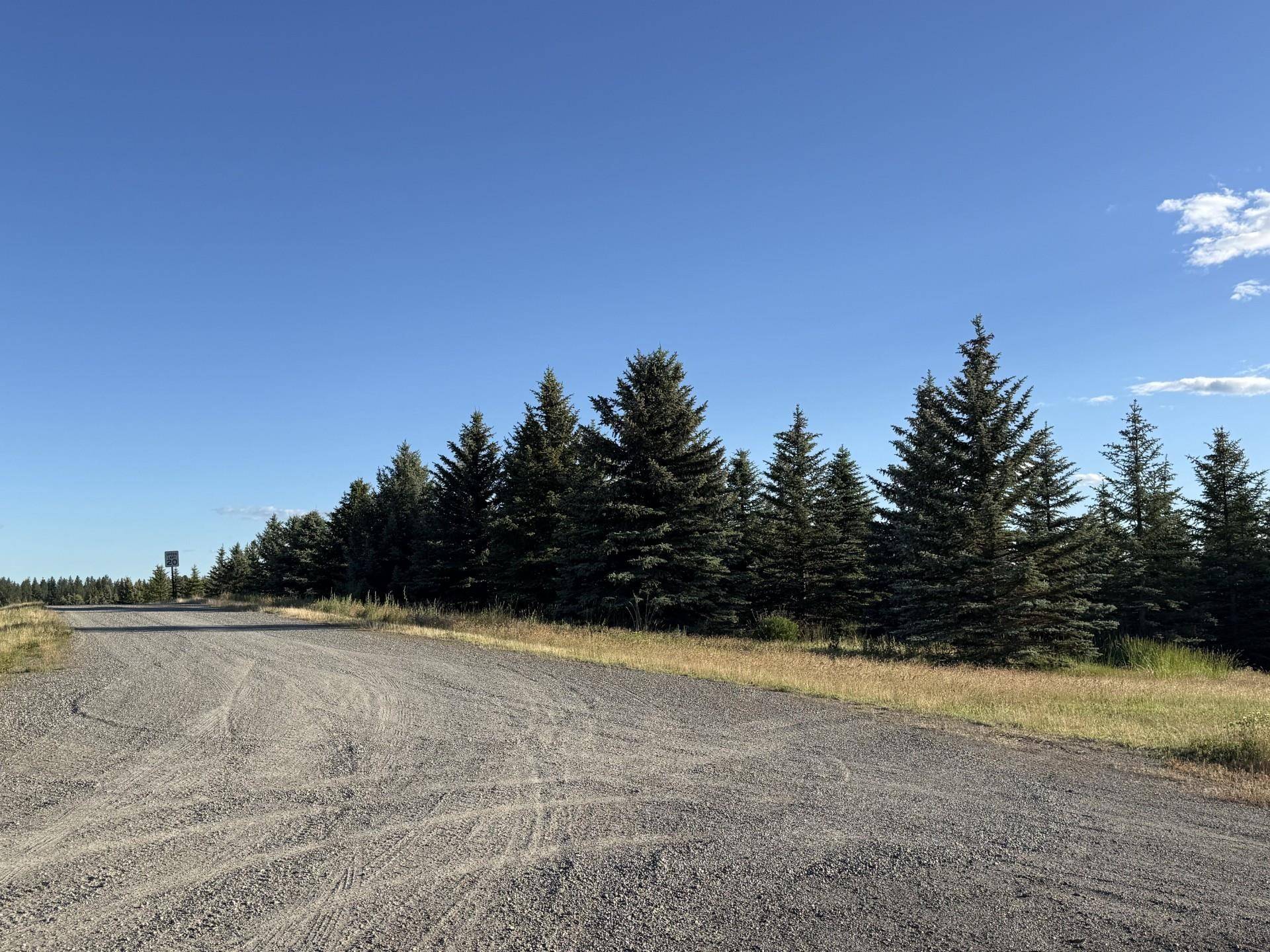 119XX S Spruce Tree Ln, Mica, WA 99023