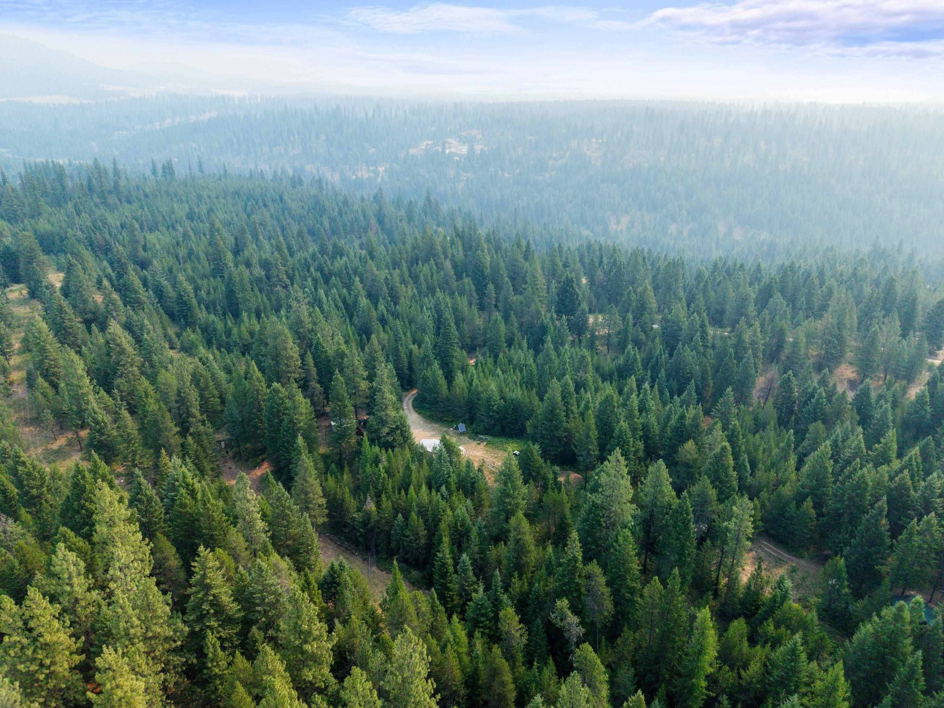 5162 Goah WAY, Springdale, WA 99173