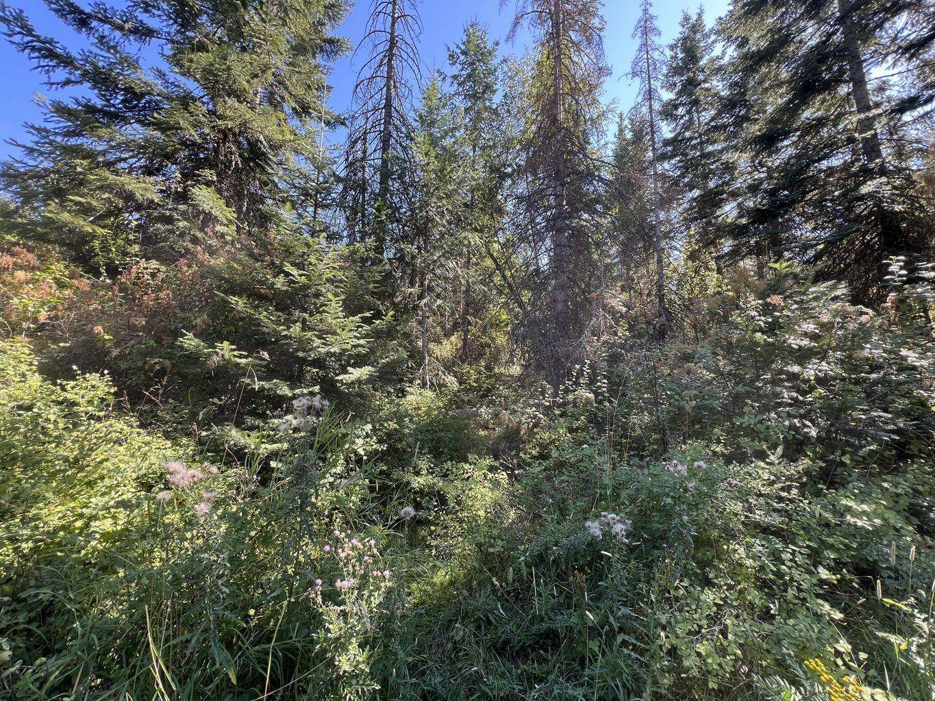 52XX Lot 7 Swenson Rd, Deer Park, WA 99006