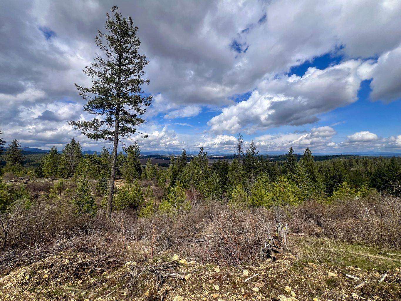 52XX Lot 8 Swenson Rd, Deer Park, WA 99006
