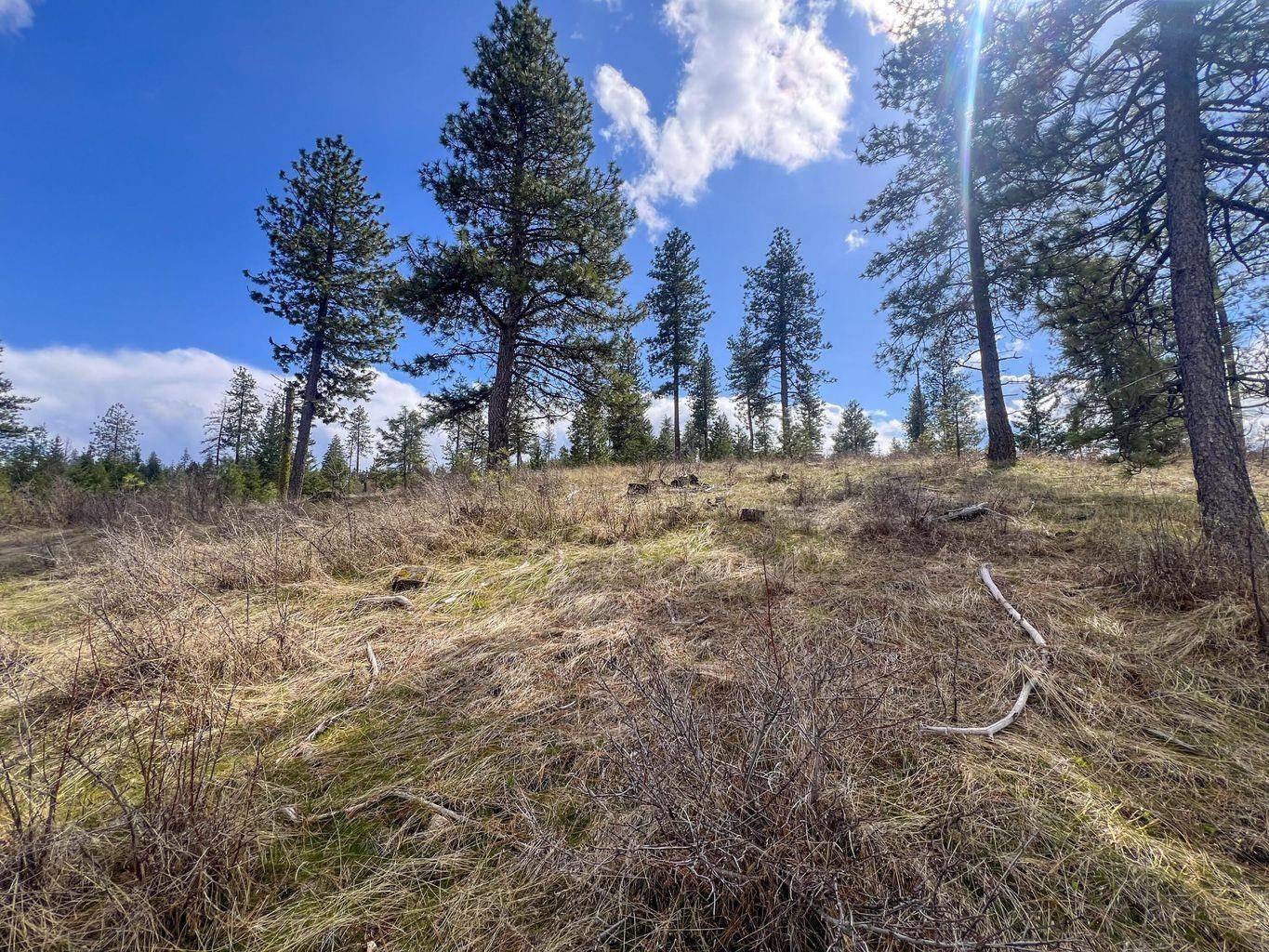 52XX Lot 8 Swenson Rd, Deer Park, WA 99006