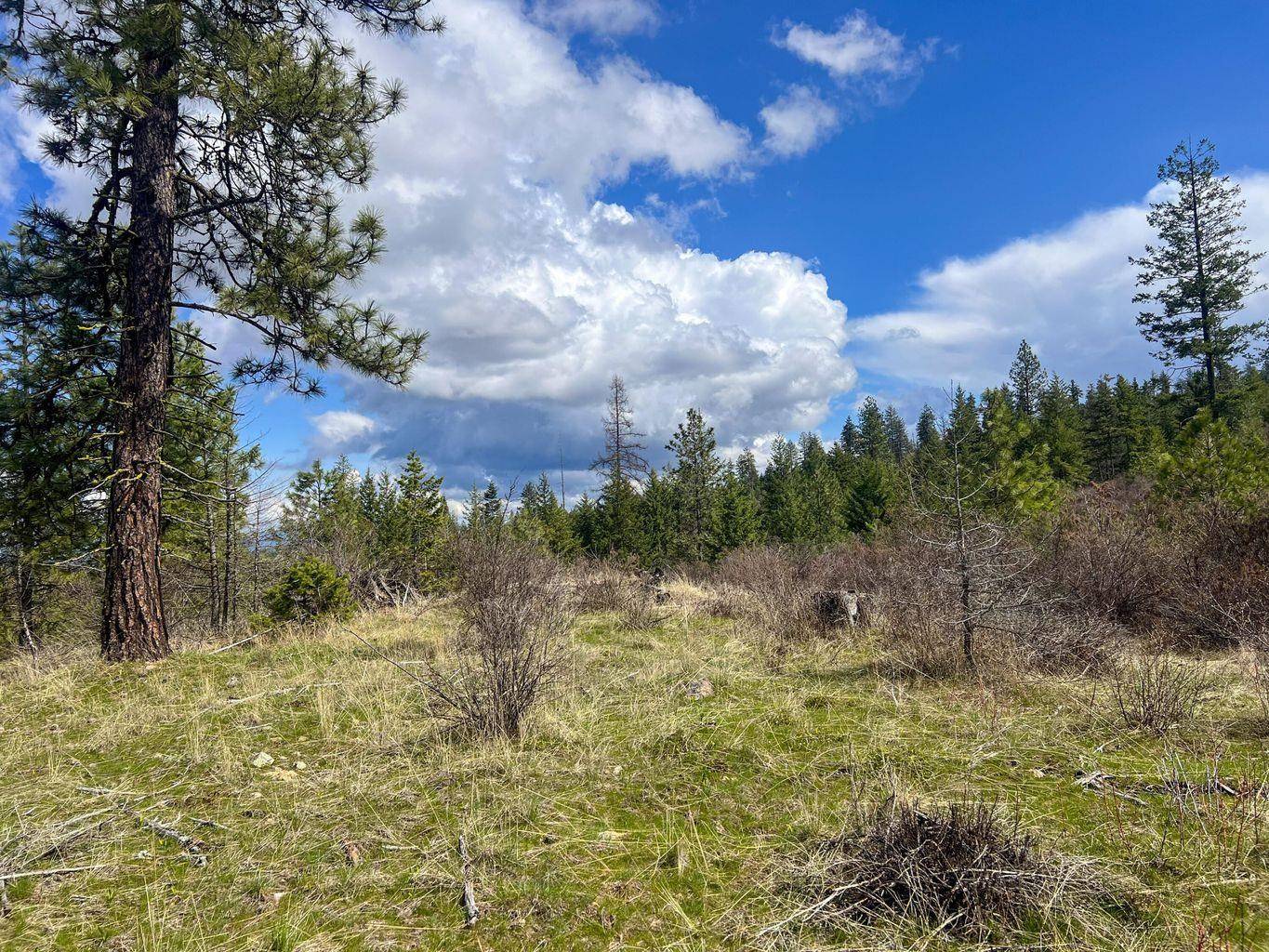 52XX Lot 8 Swenson Rd, Deer Park, WA 99006