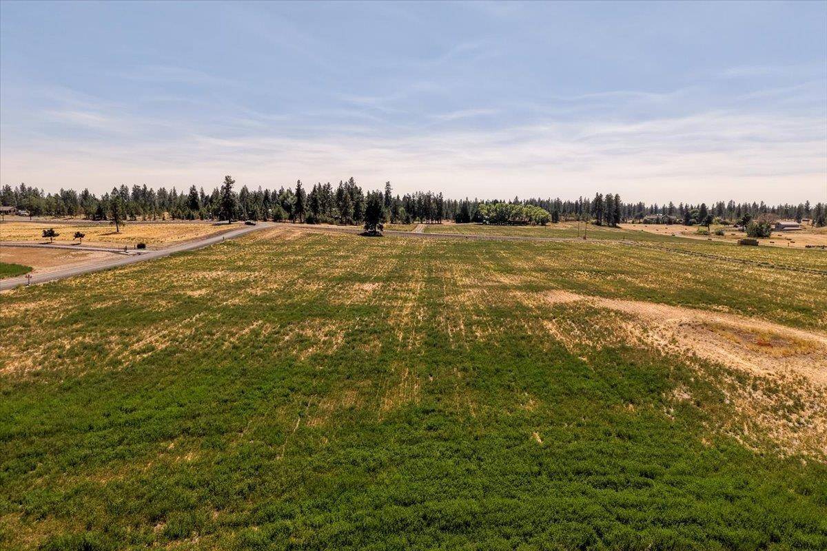 XX W Washington St, Cheney, WA 99004