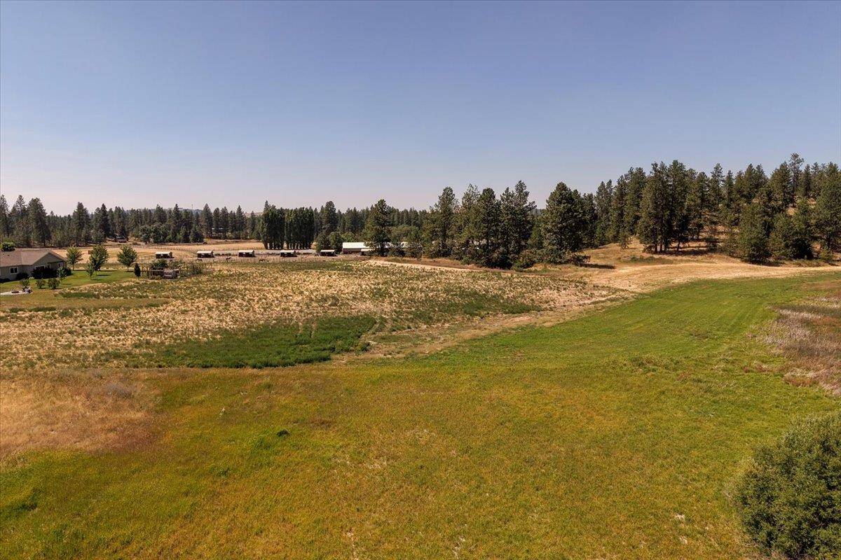 XX W Washington St, Cheney, WA 99004