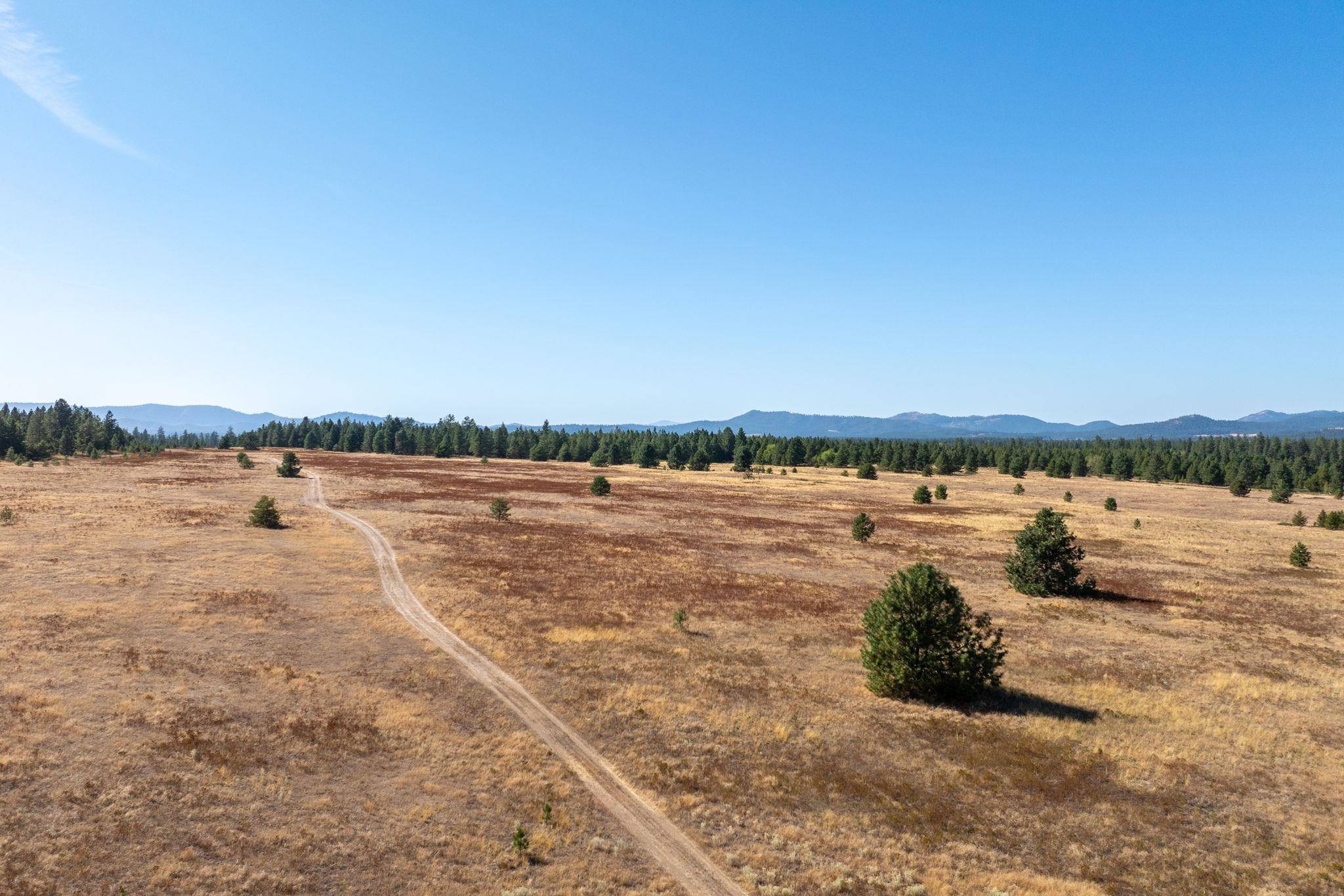 NKA E Slaton Rd #Lot 44, Deer Park, WA 99006