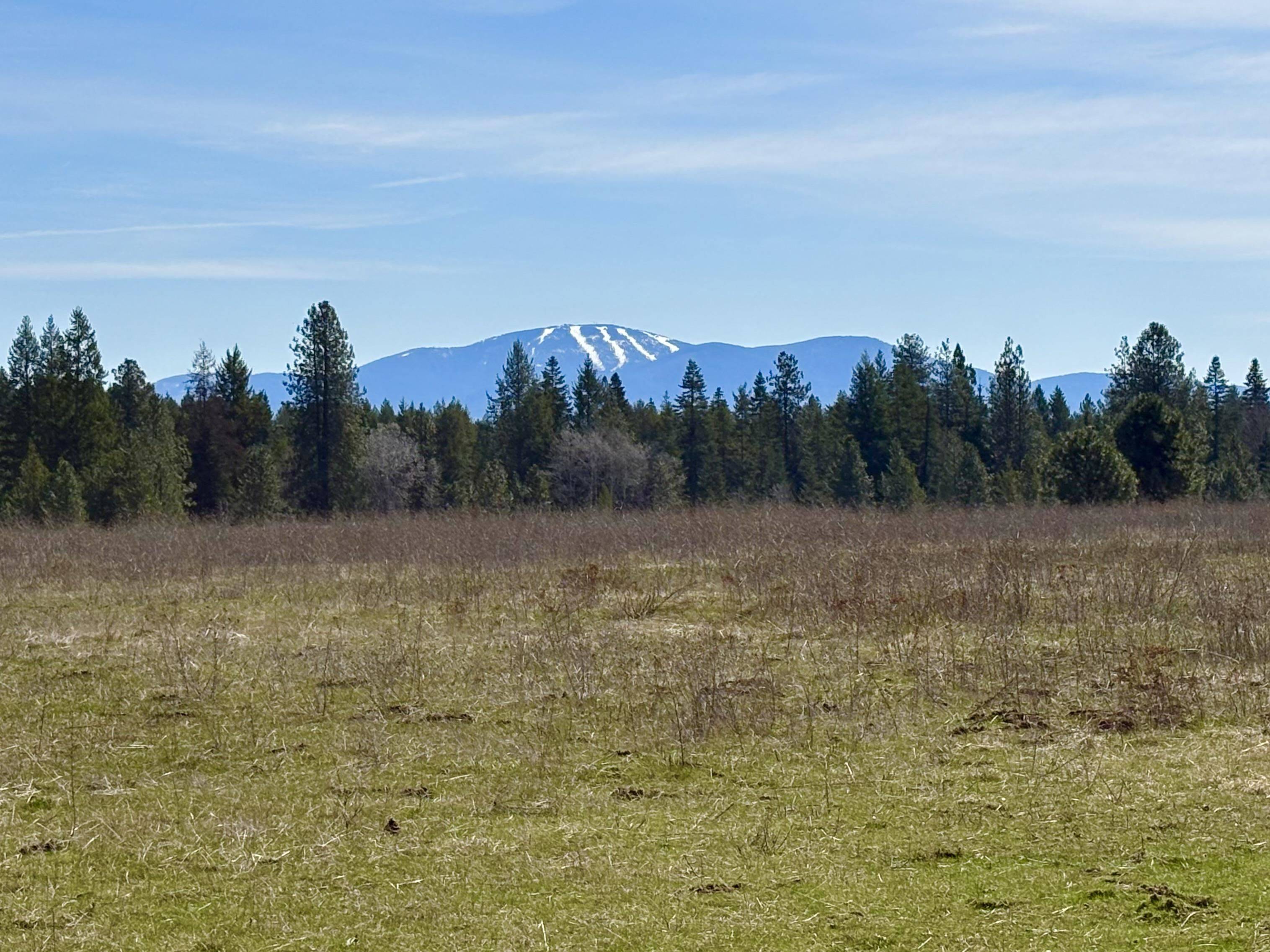 280 Brook Dr, Elk, WA 99009