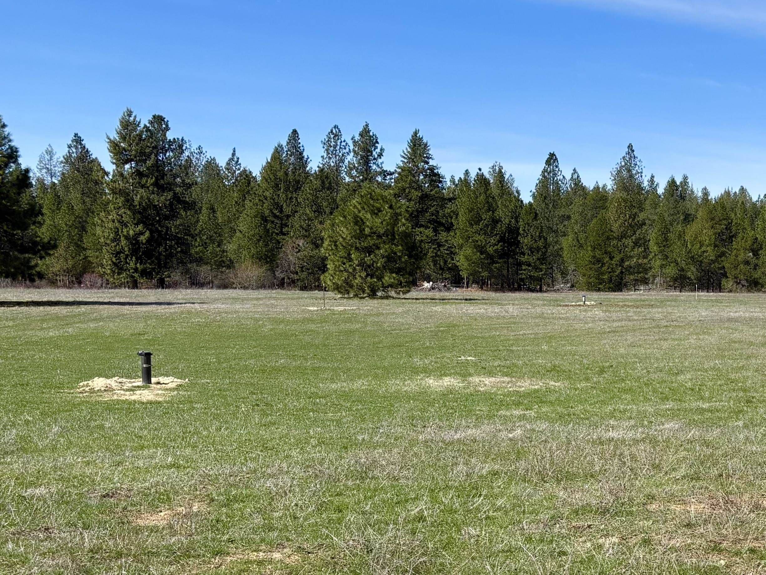280 Brook Dr, Elk, WA 99009