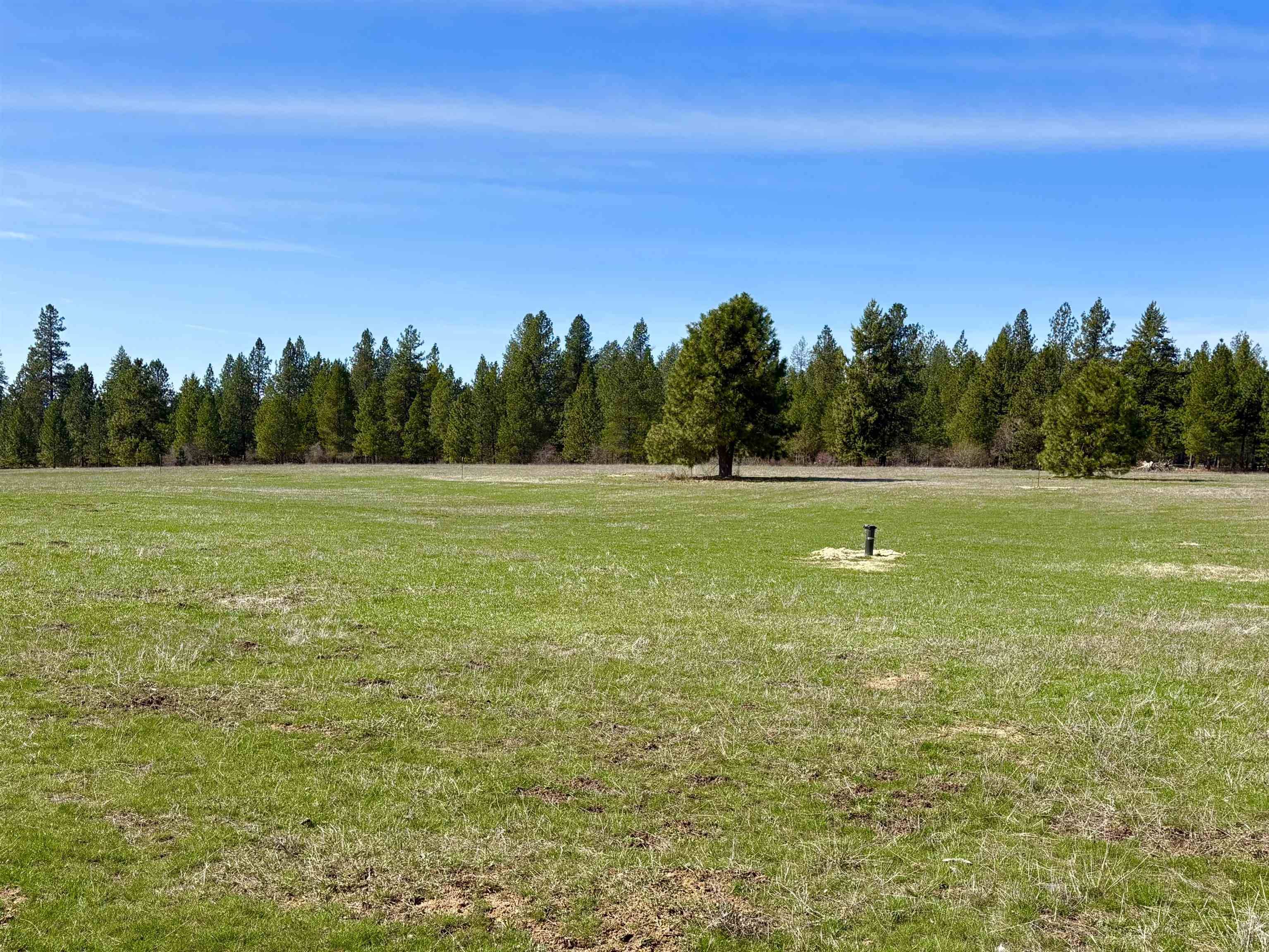 200 Brook Dr, Elk, WA 99009
