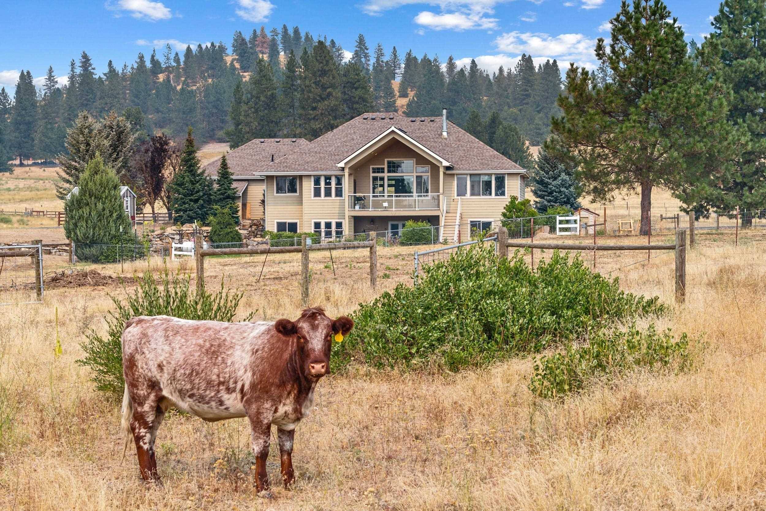 29020 N Hardesty Rd, Chattaroy, WA 99003