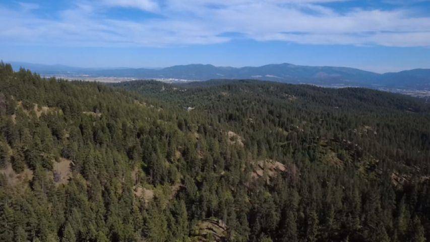 95XX N Campbell Rd, Spokane, WA 99027