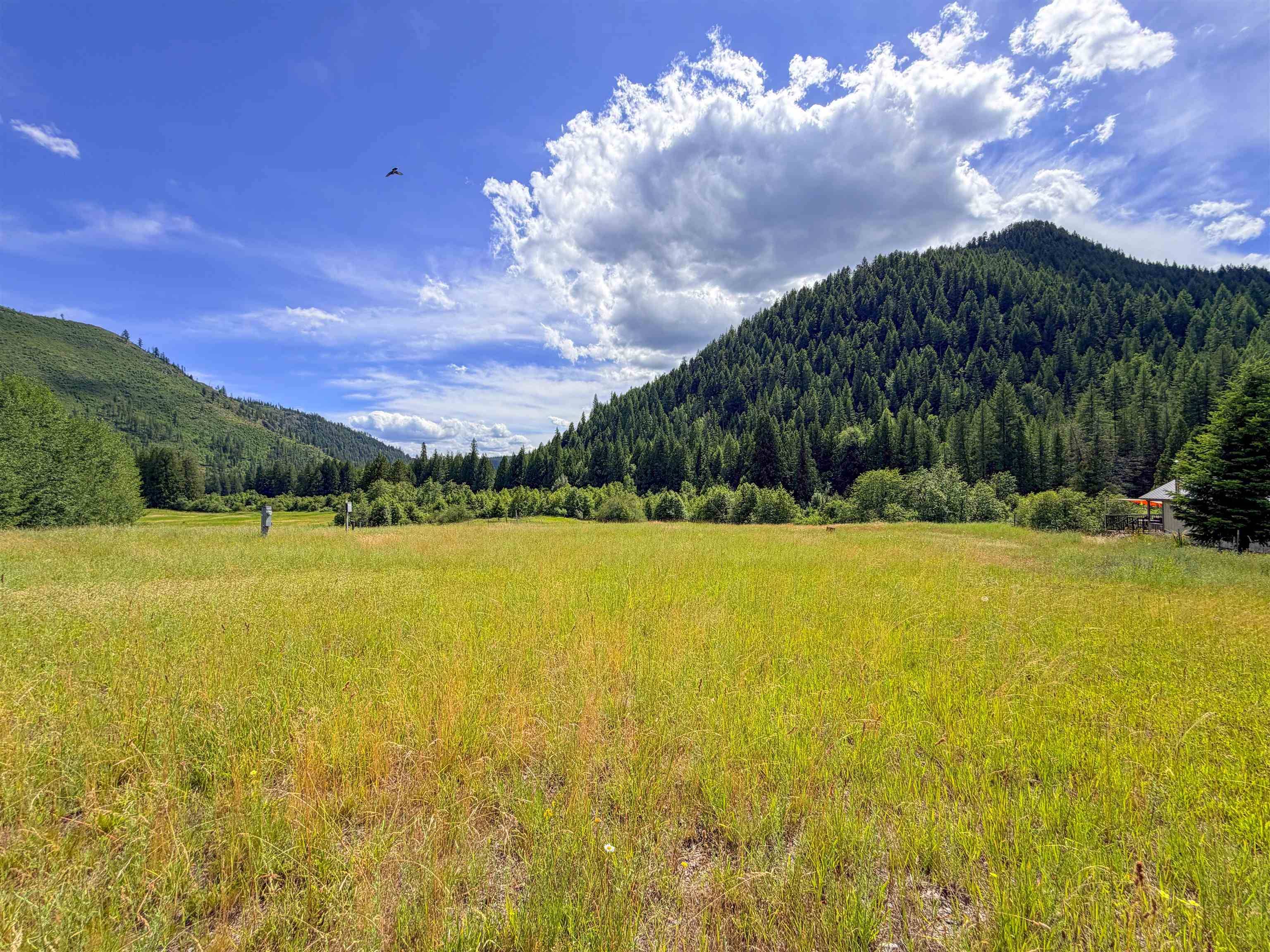 3159 Heather Ln, Colville, WA 99114