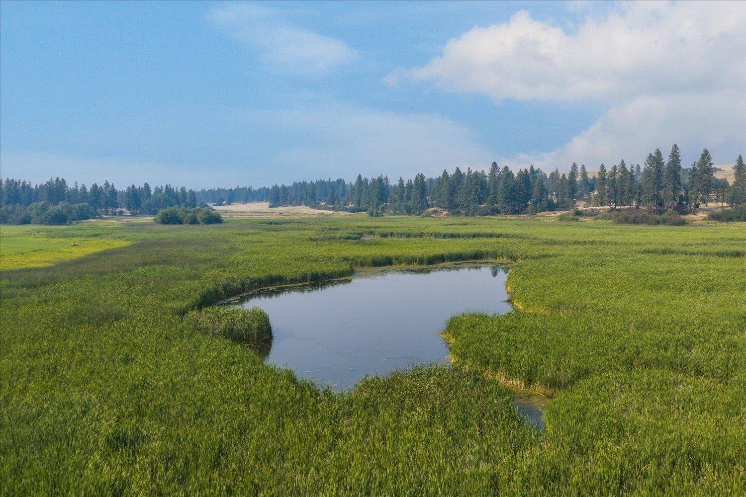0000 S Murphy Rd, Cheney, WA 99004