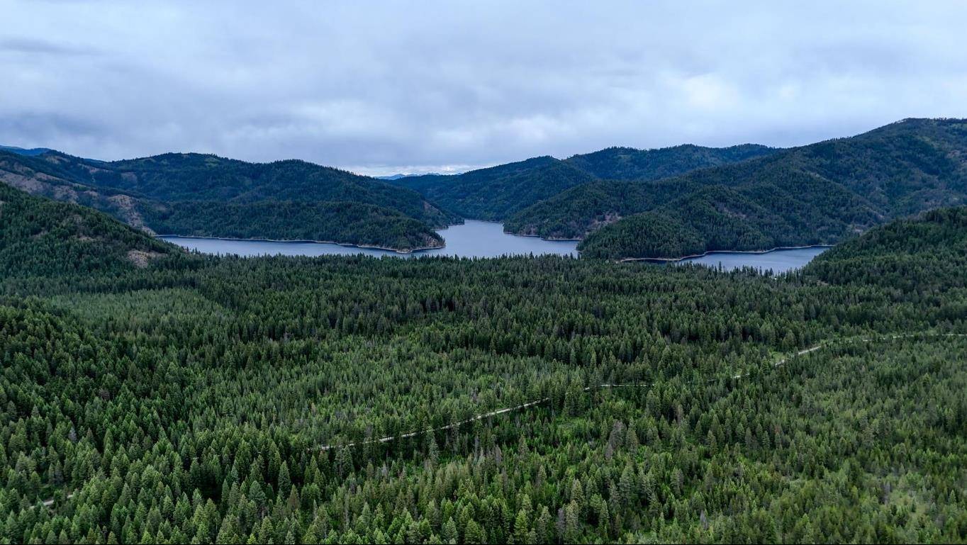 6071 Bead Lake Rd, Newport, WA 99156-6008
