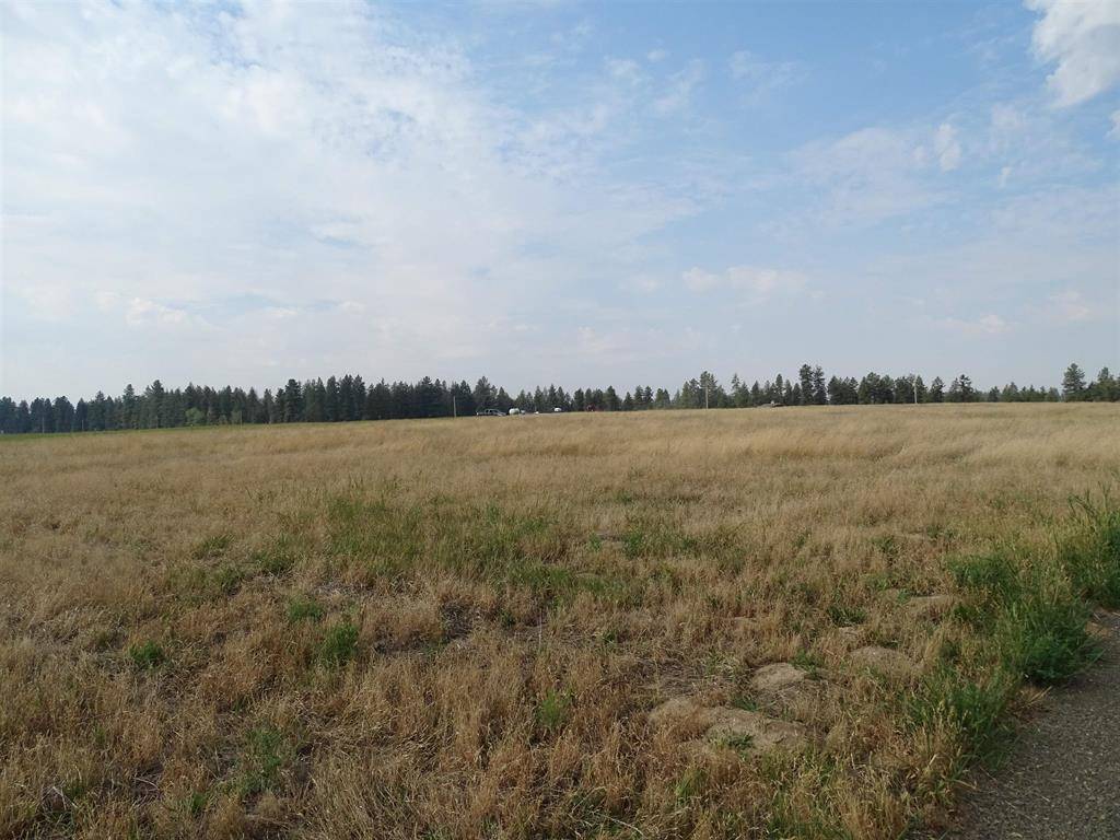 Orchard Rd, Chattaroy, WA 99003