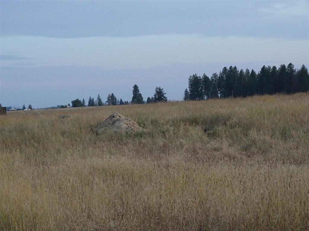 Orchard Rd, Chattaroy, WA 99003