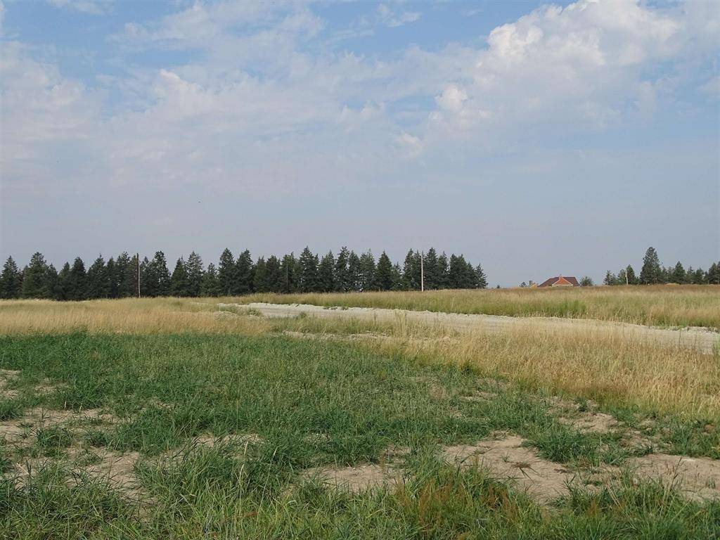 Orchard Rd, Chattaroy, WA 99003