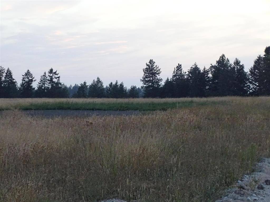 Orchard Rd, Chattaroy, WA 99003