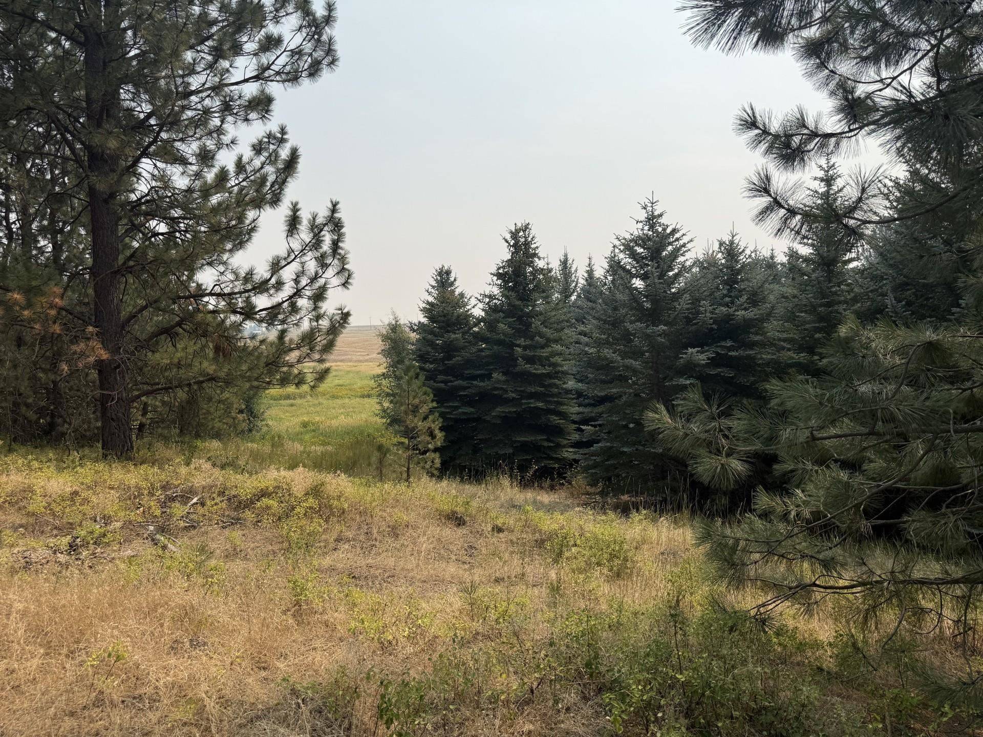 13XXX E Gibbs Rd, Mica, WA 99023