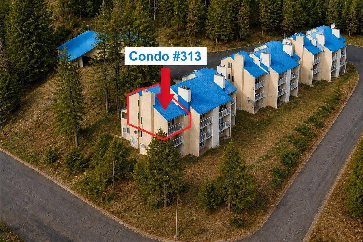 28600 N Mt Spokane Park Dr ##313, Mead, WA 99021
