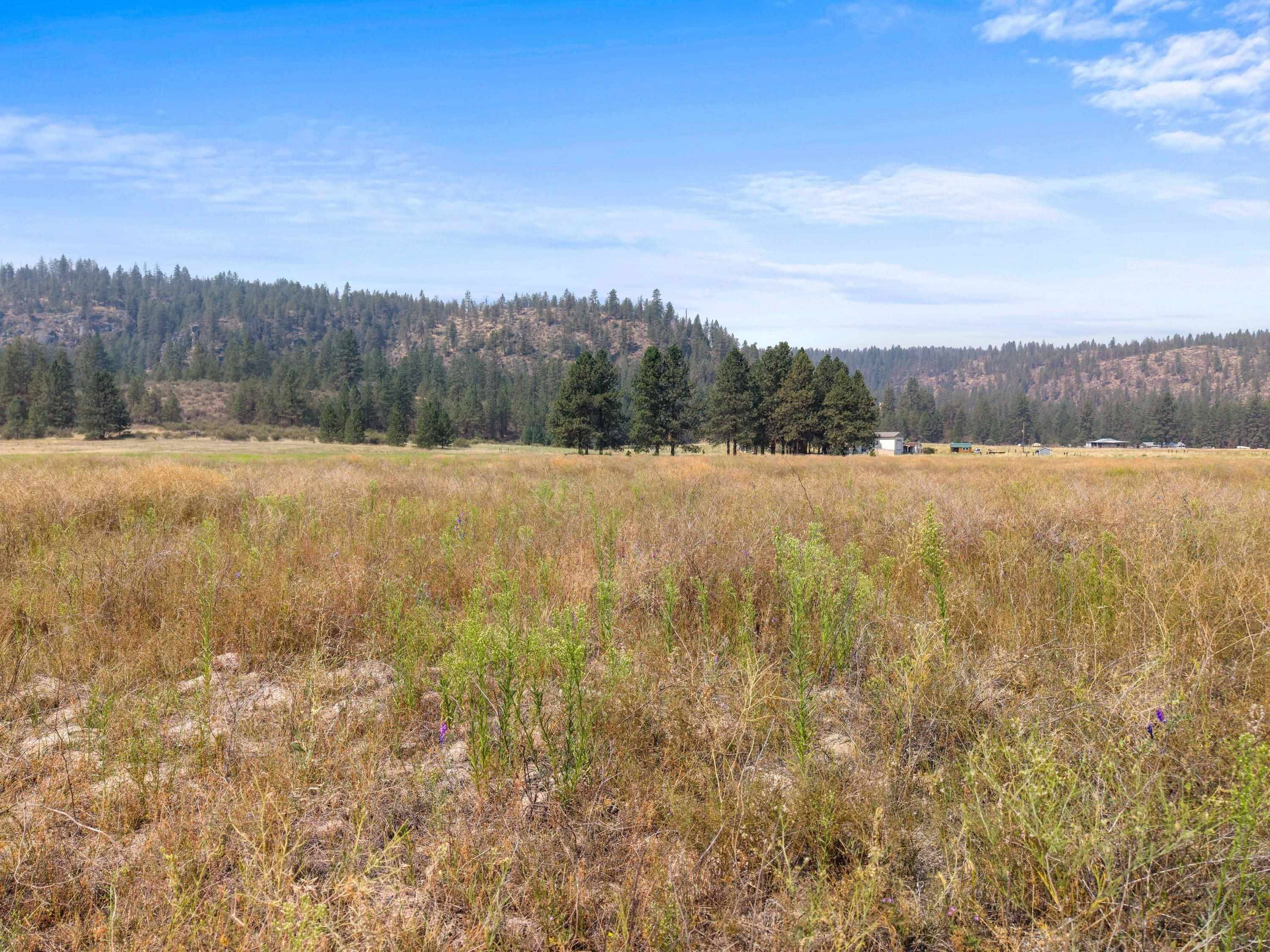 40289 N Barbara Ln, Davenport, WA 99122