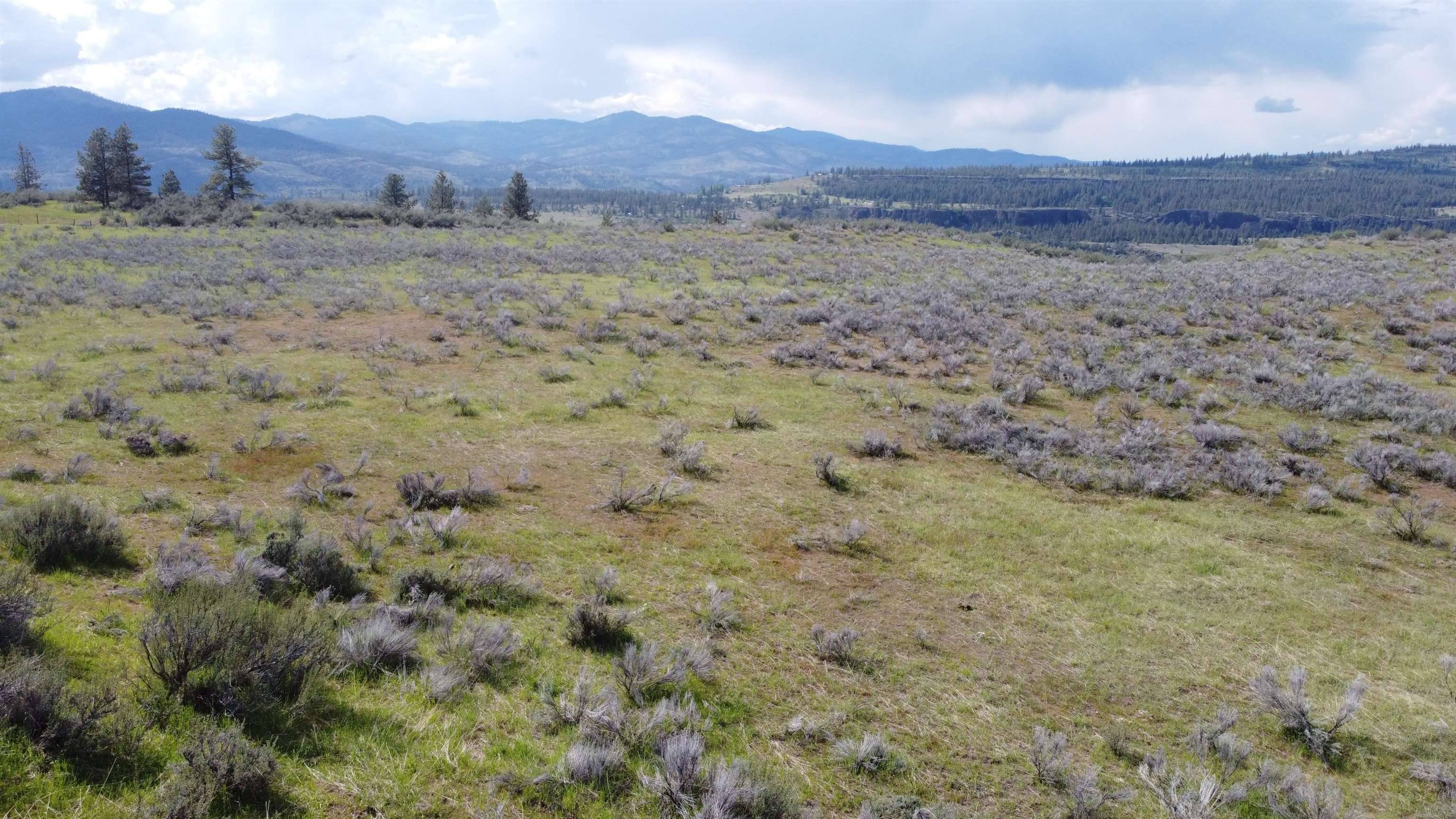 1AXX N 25 Hwy, Davenport, WA 99122