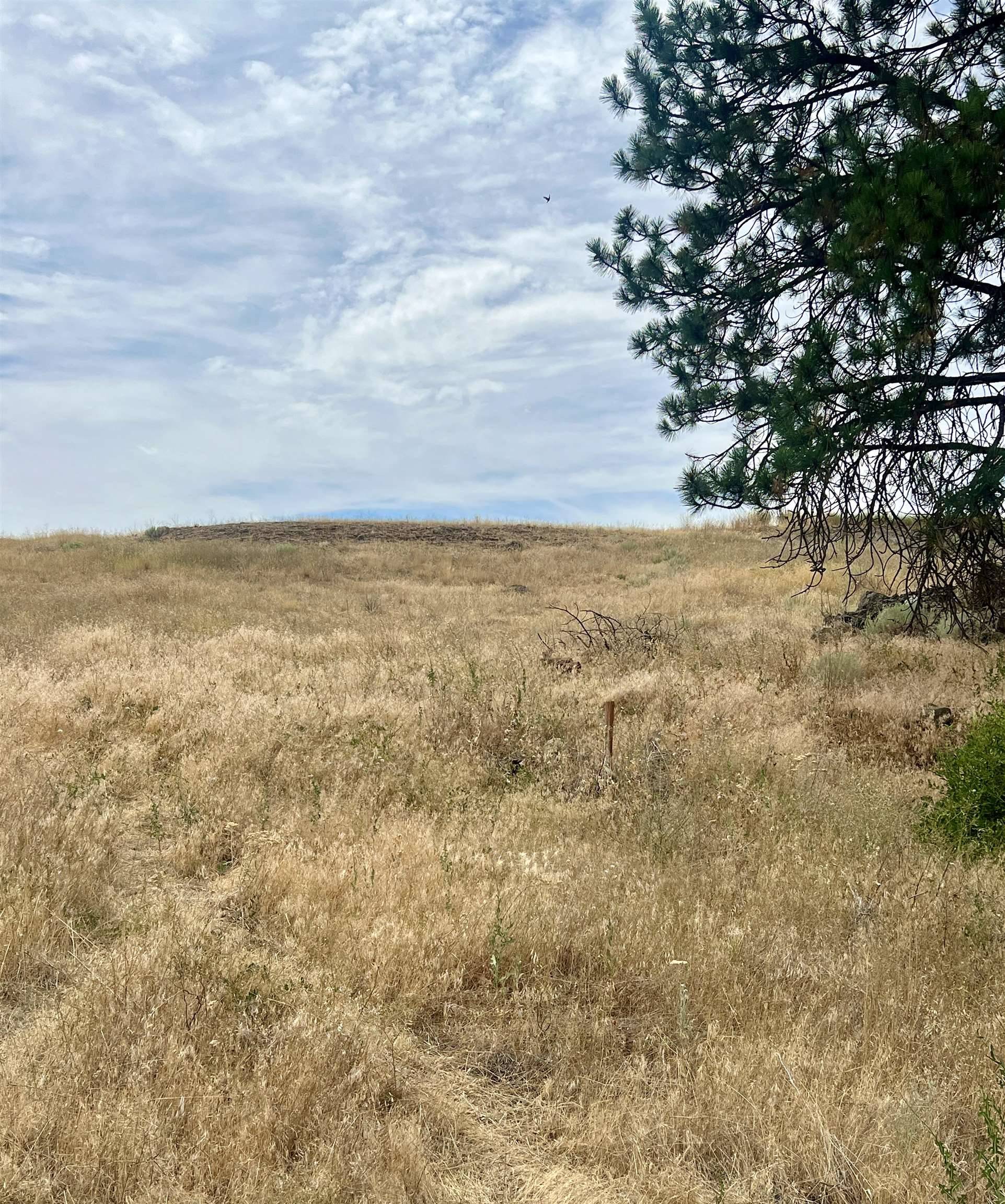 402 E Porak St, Sprague, WA 99032