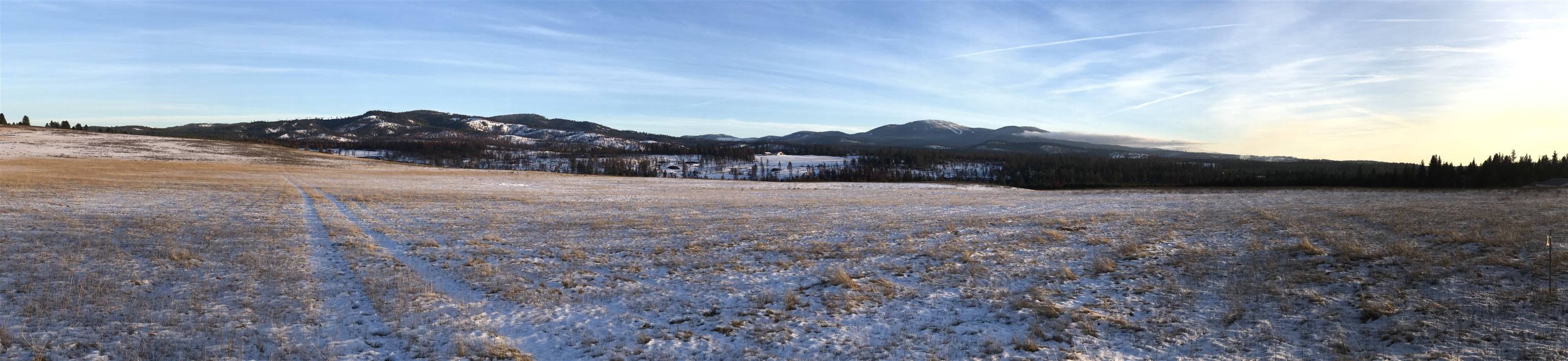 41900 N Darknell Rd, Elk, WA 99009