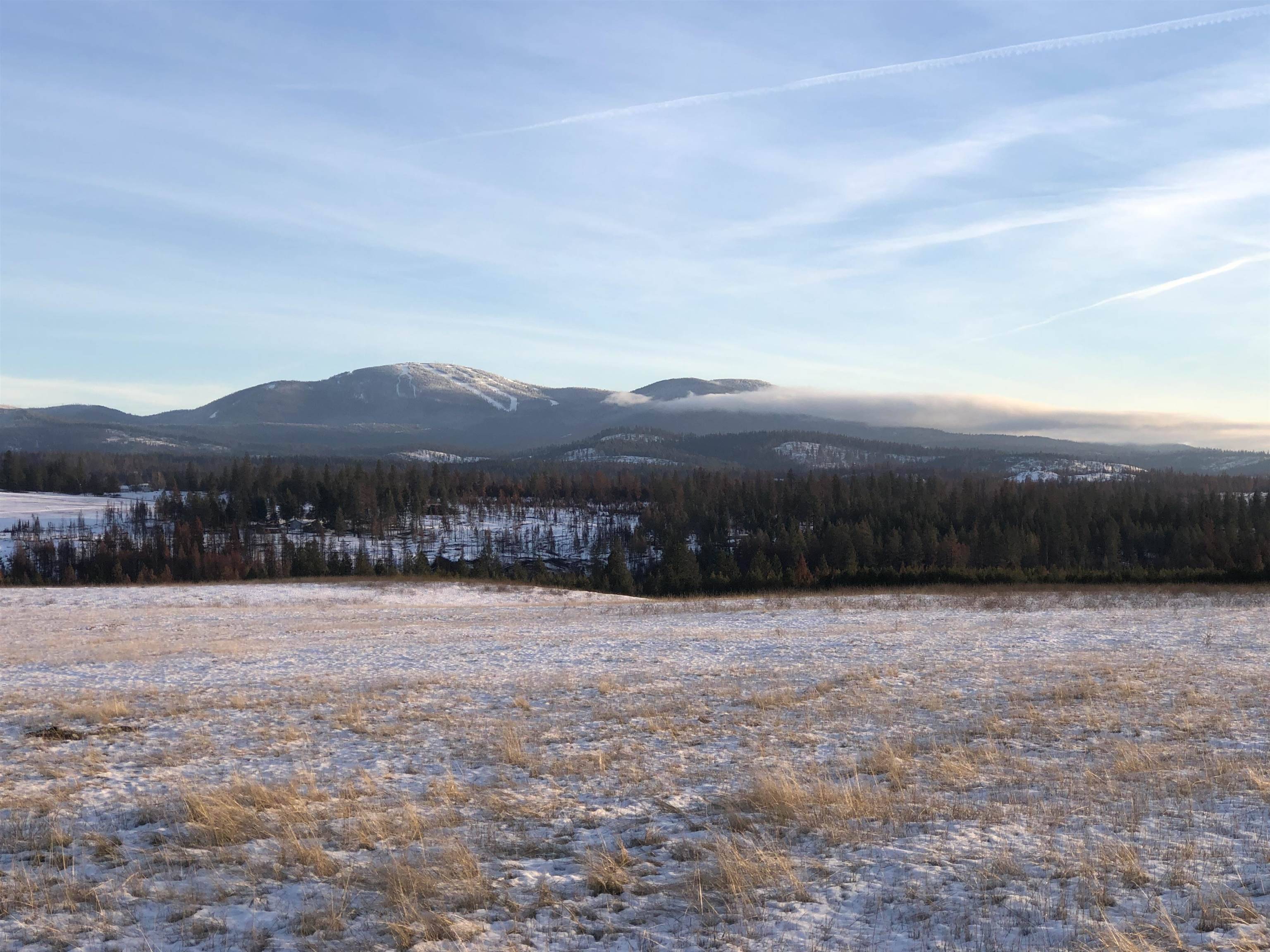 41900 N Darknell Rd, Elk, WA 99009
