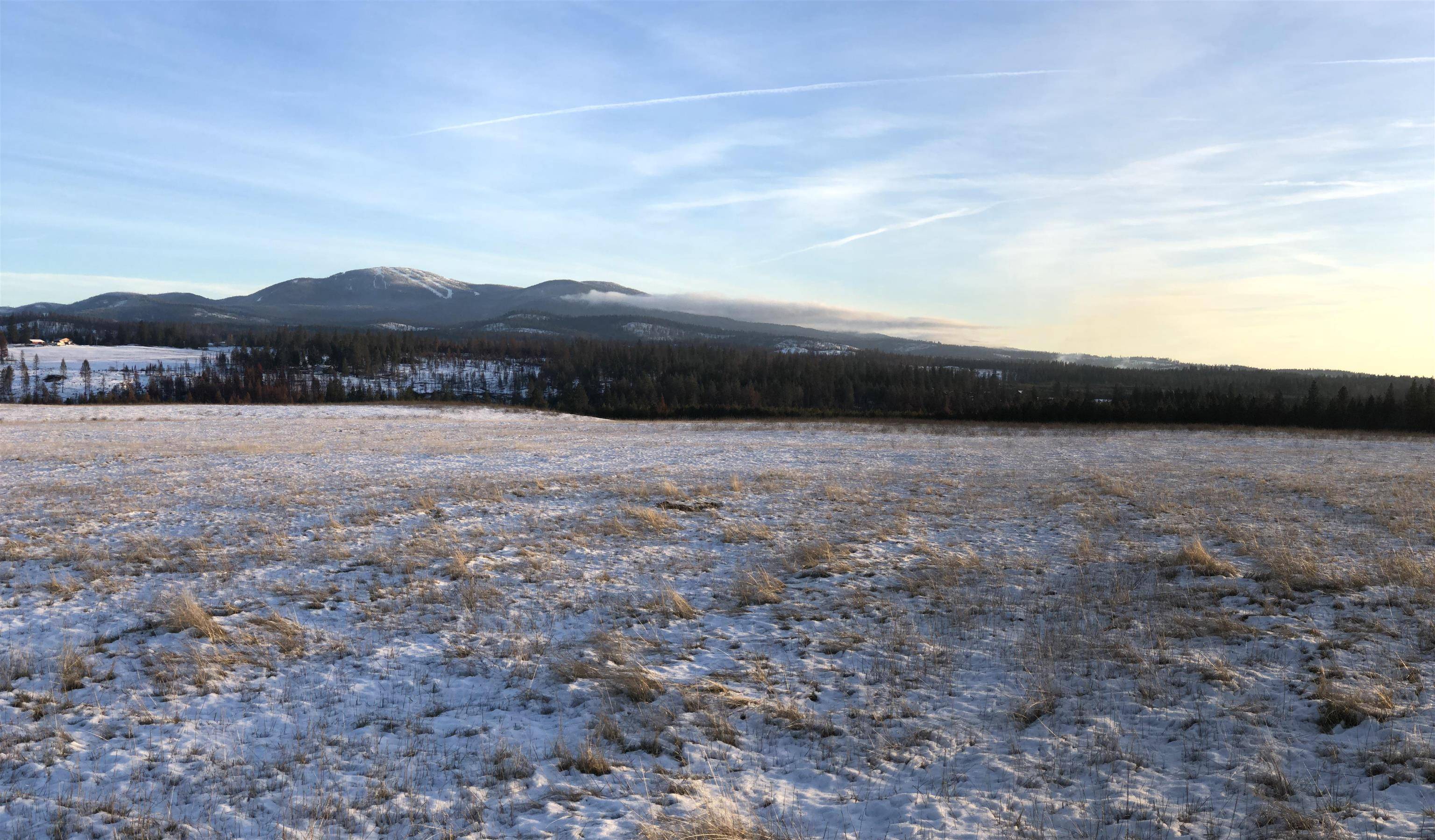 41900 N Darknell Rd, Elk, WA 99009