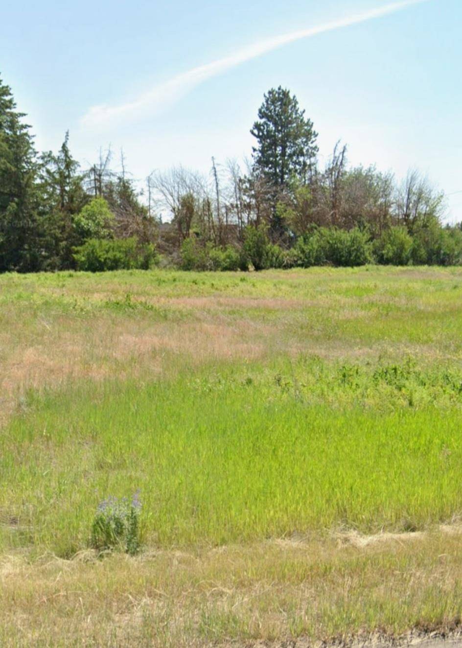 xxx 8th St St, Davenport, WA 99122
