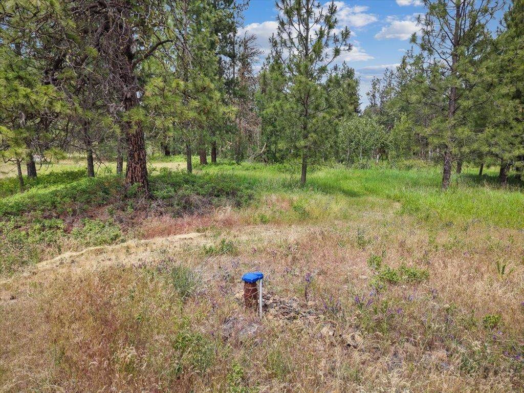 14933 W Burnett Rd, Nine Mile Falls, WA 99026