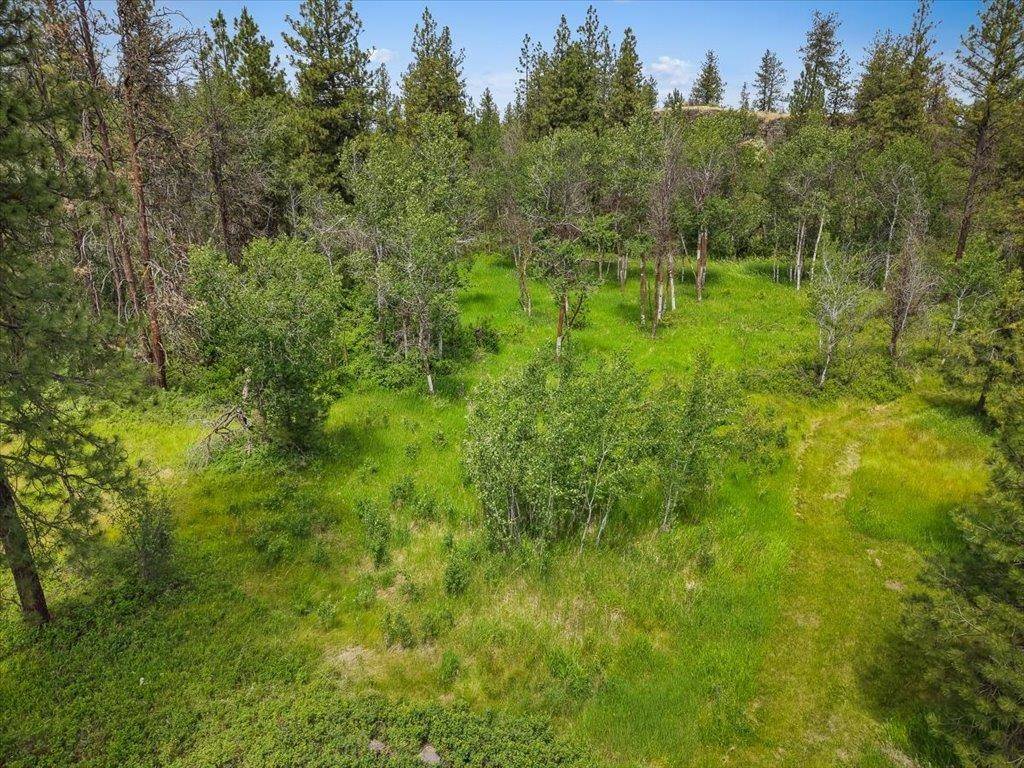 14933 W Burnett Rd, Nine Mile Falls, WA 99026