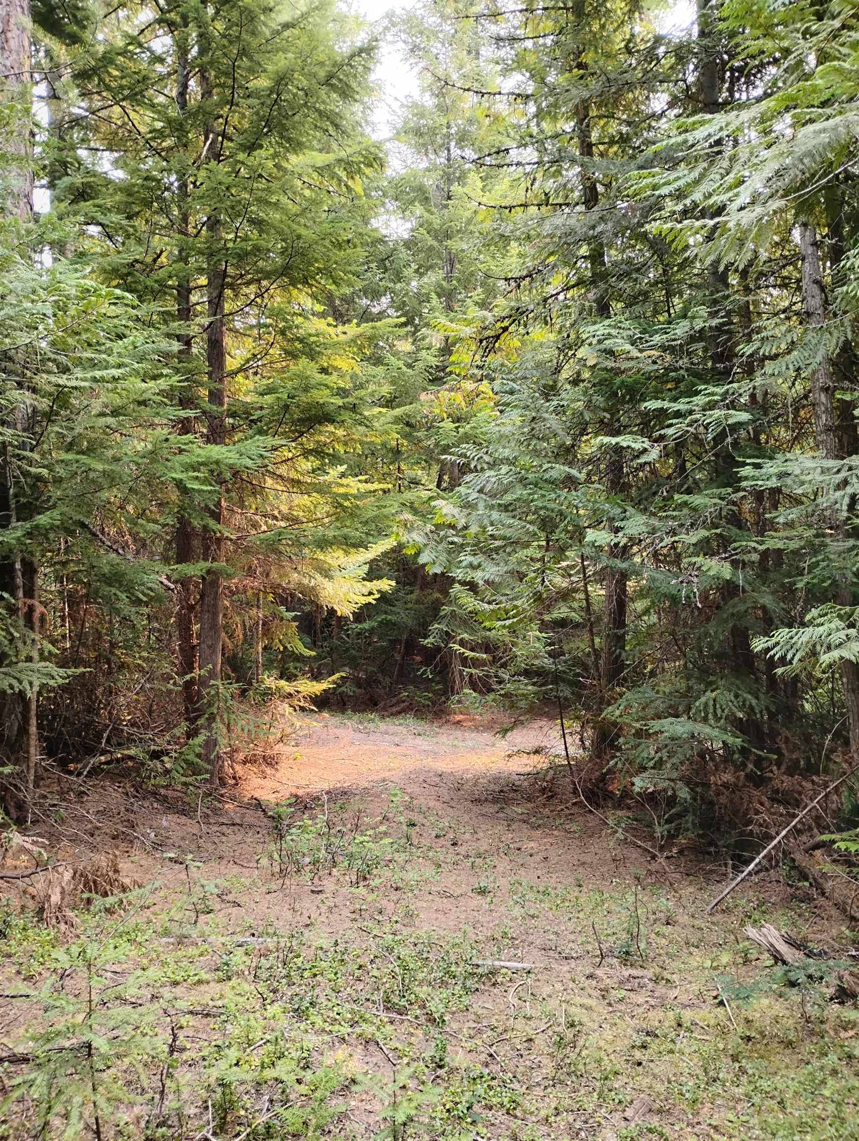 589 Scheller Ln, Usk, WA 99180