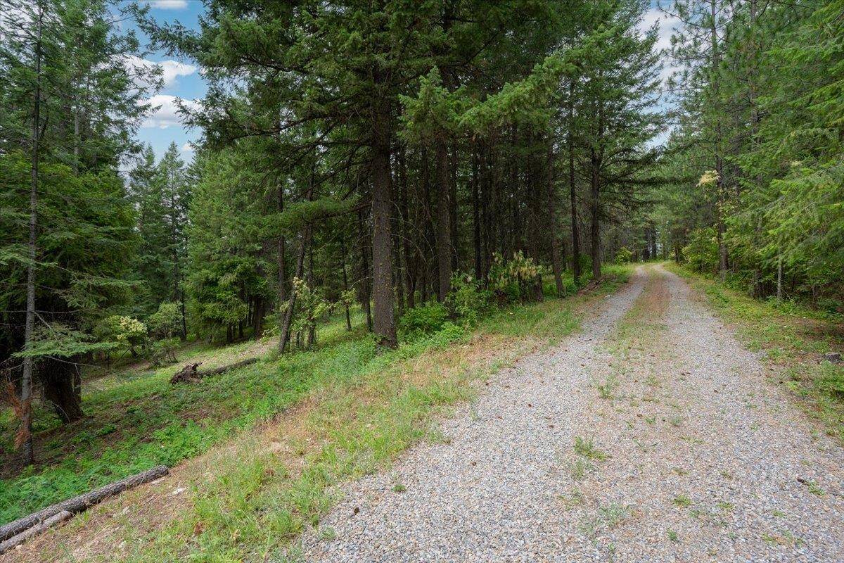 28420 N Thunderhill Ln, Chattaroy, WA 99003