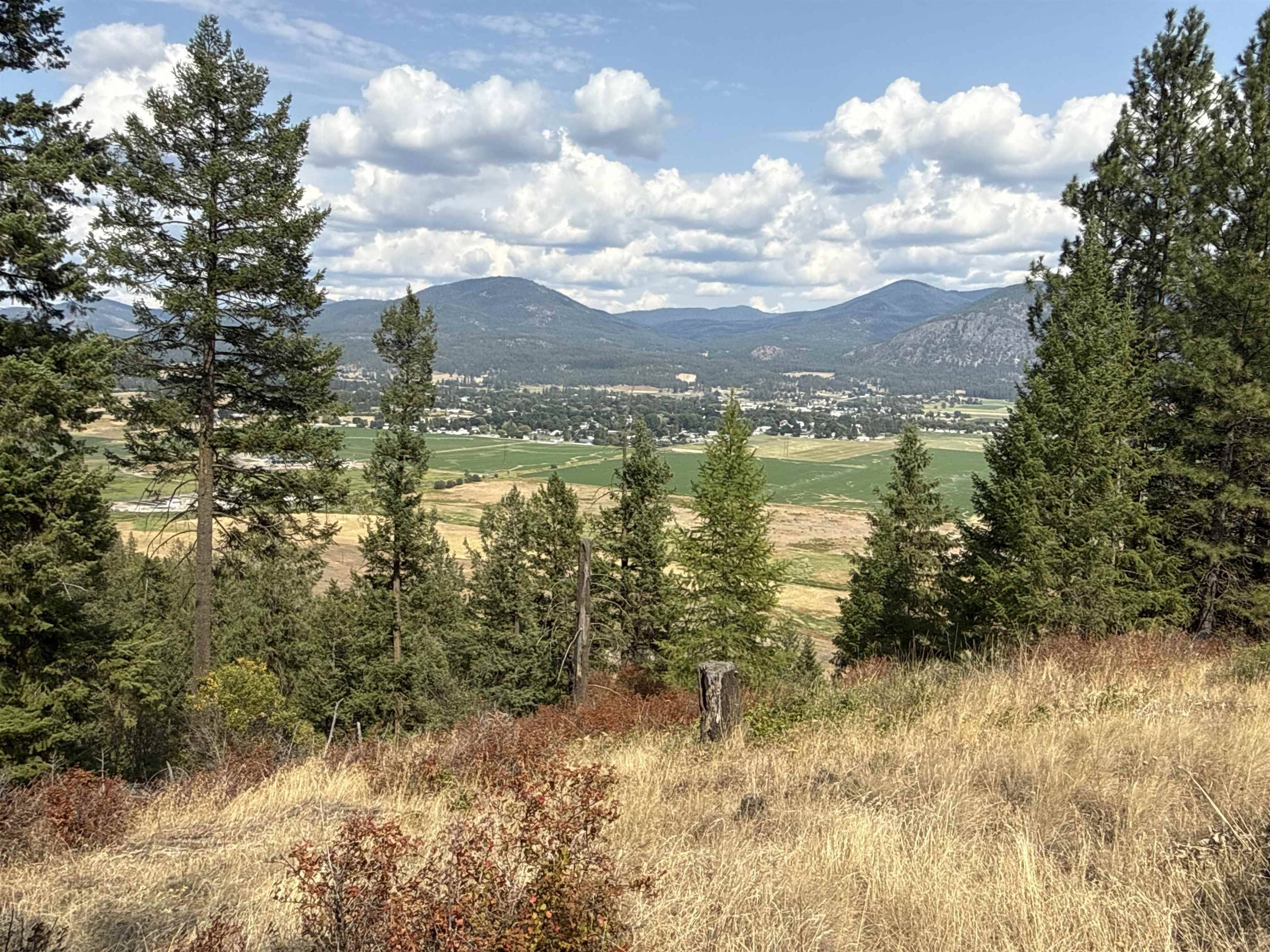 NKA Pine Rose (Lot 1) WAY, Chewelah, WA 99109