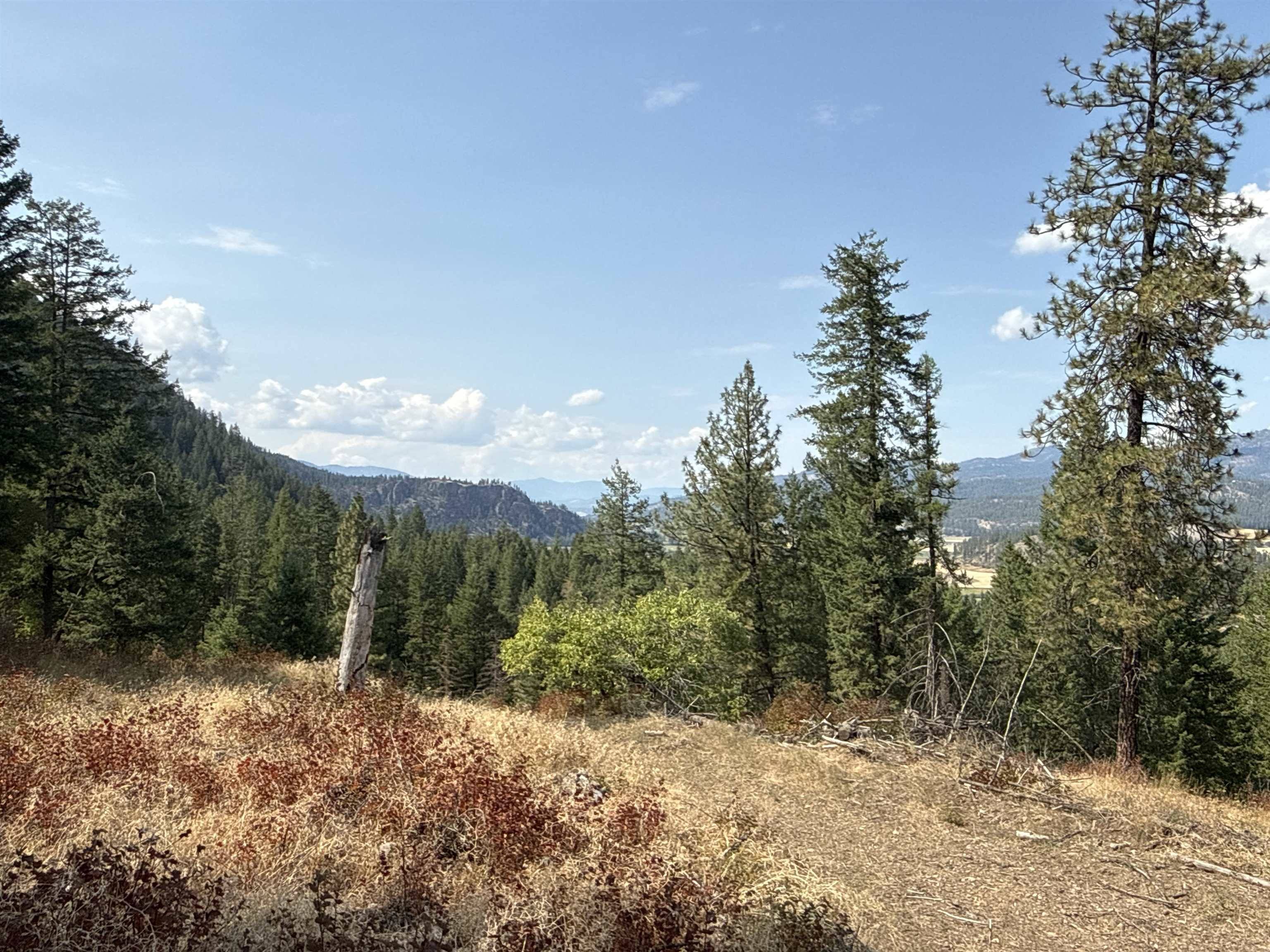 NKA Pine Rose (Lot 1) WAY, Chewelah, WA 99109