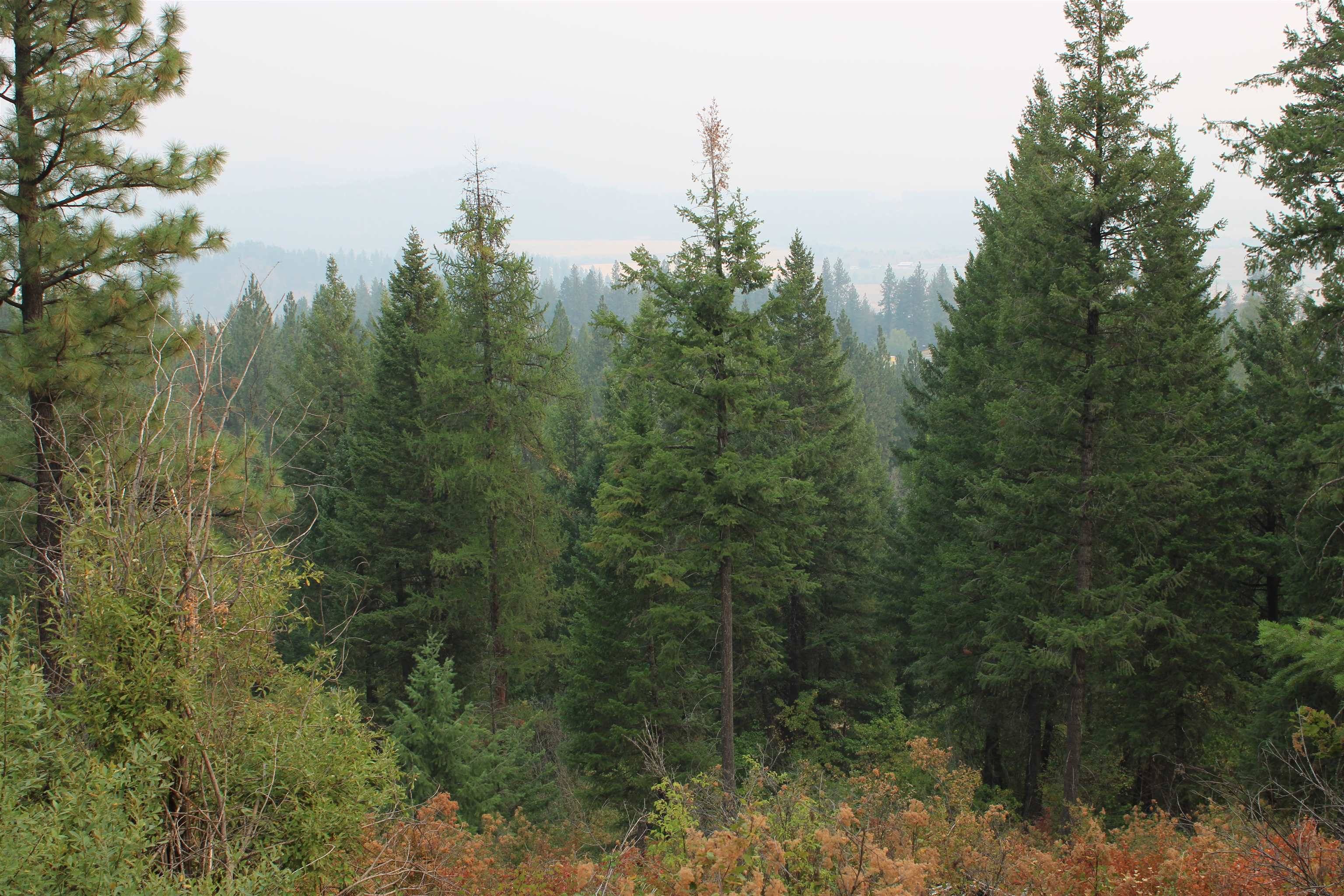 NKA Pine Rose (Lot 2) WAY, Chewelah, WA 99109